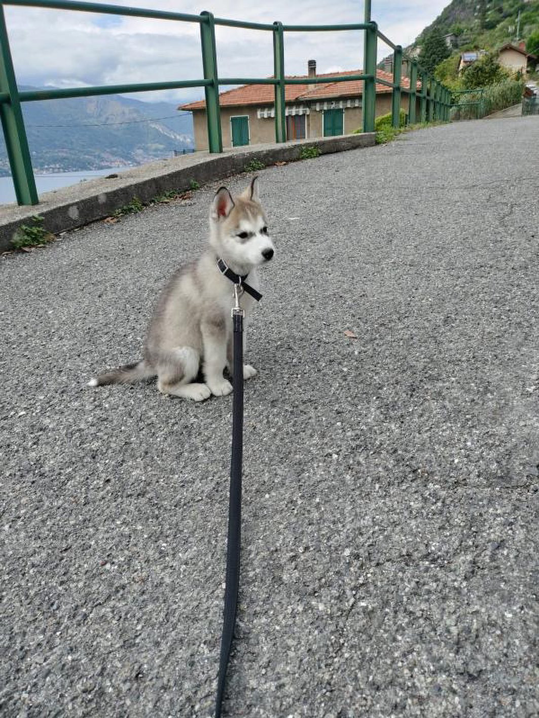image-9