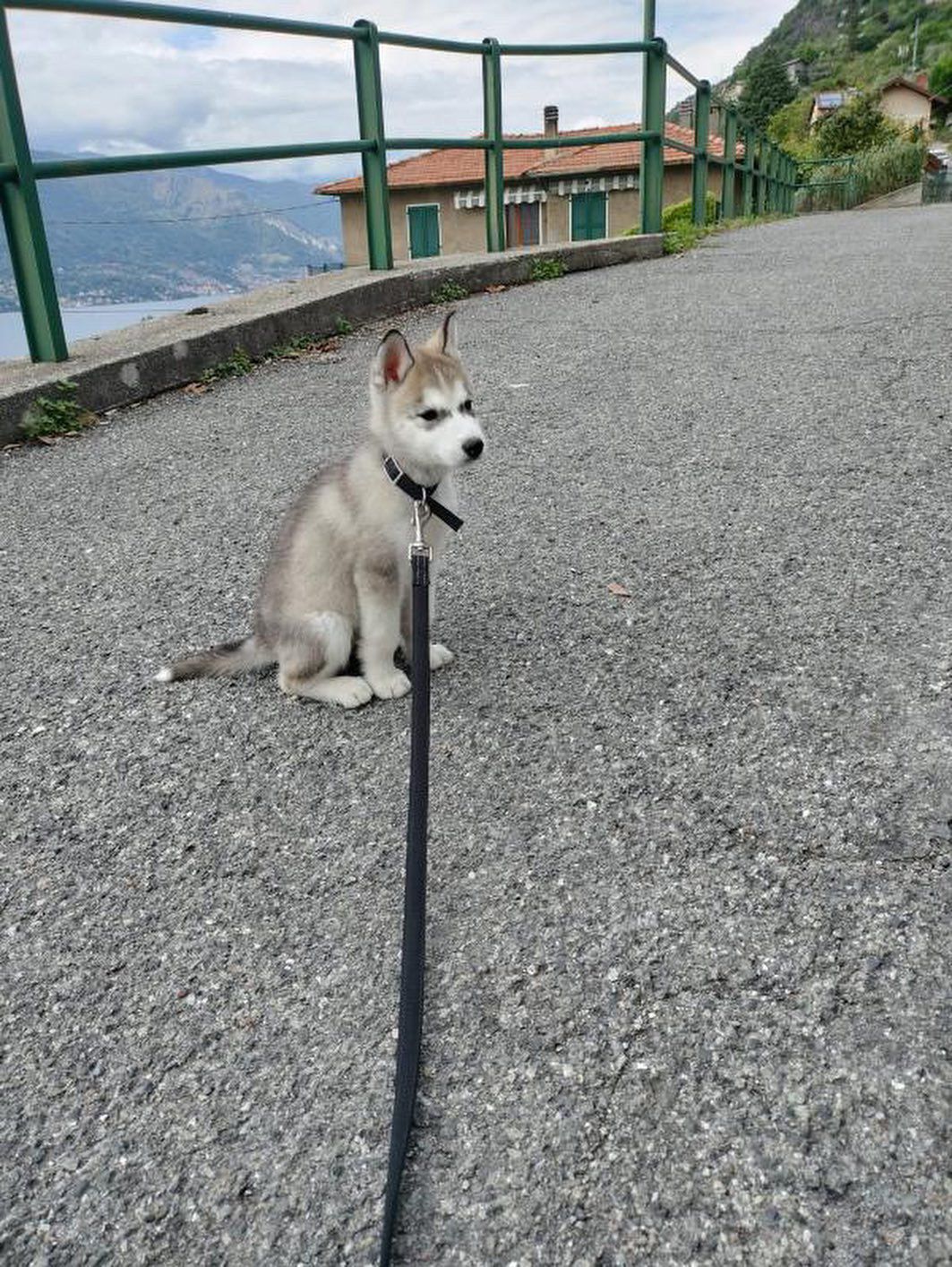 image-9