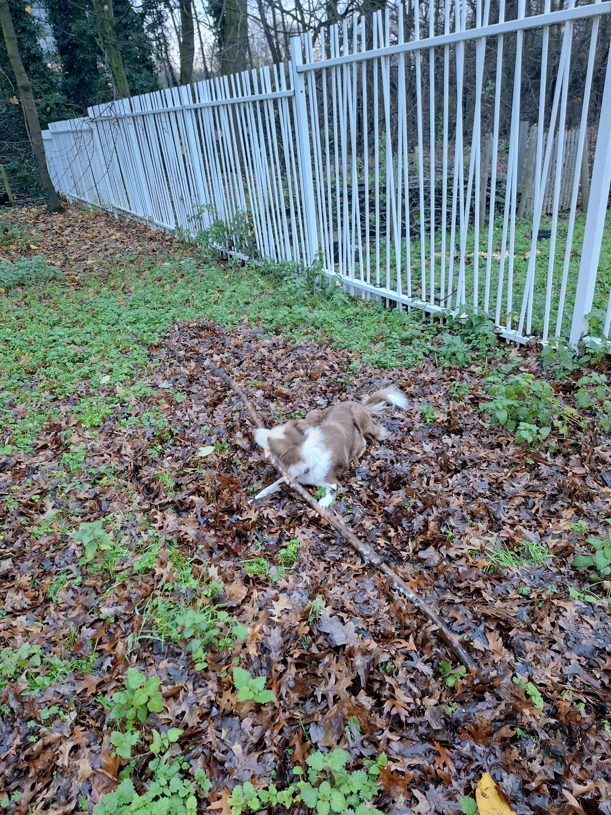image-12
