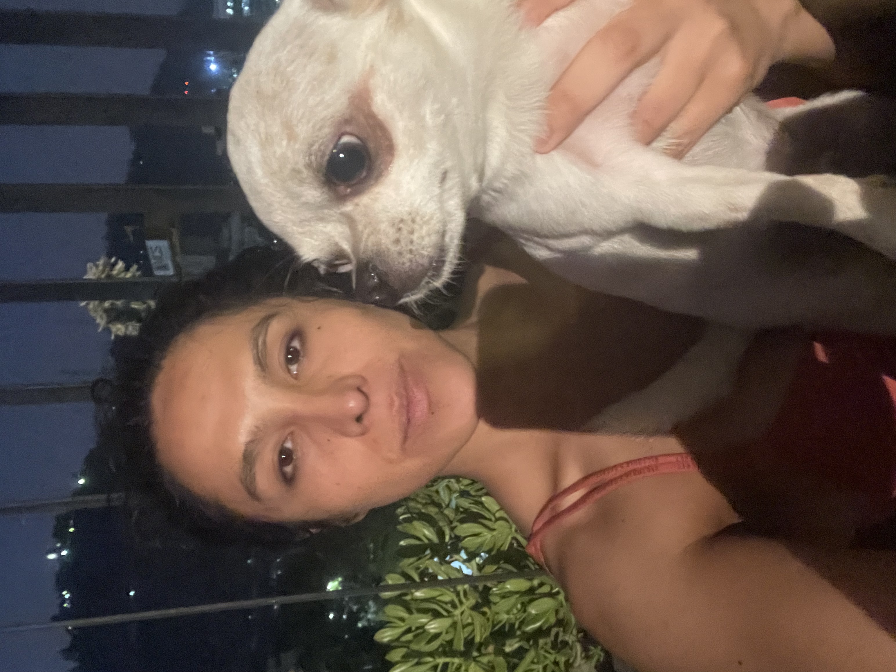 image-6