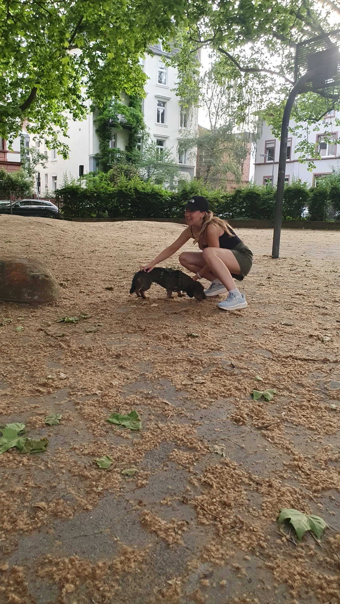 image-3