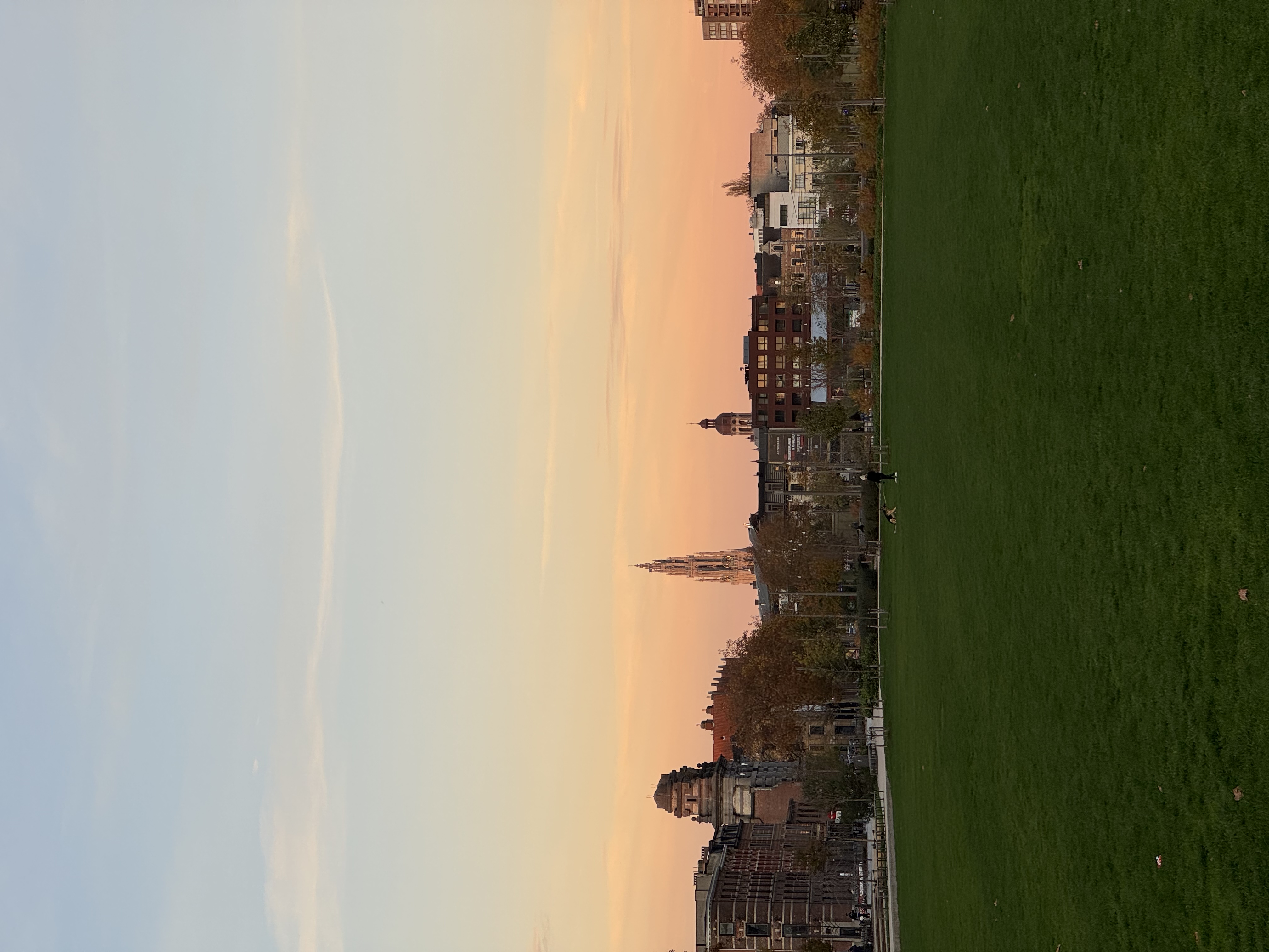 image-14