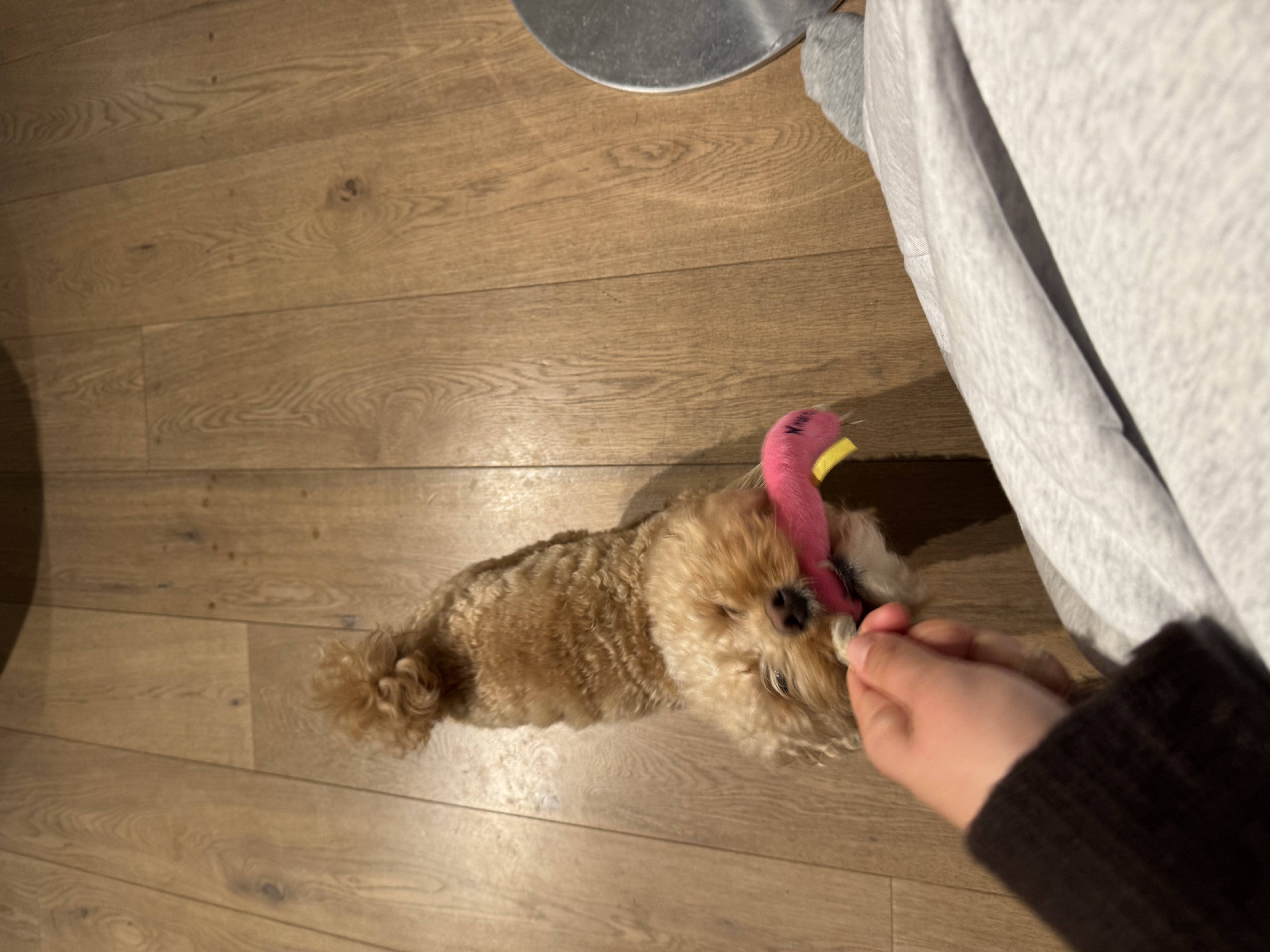 image-9