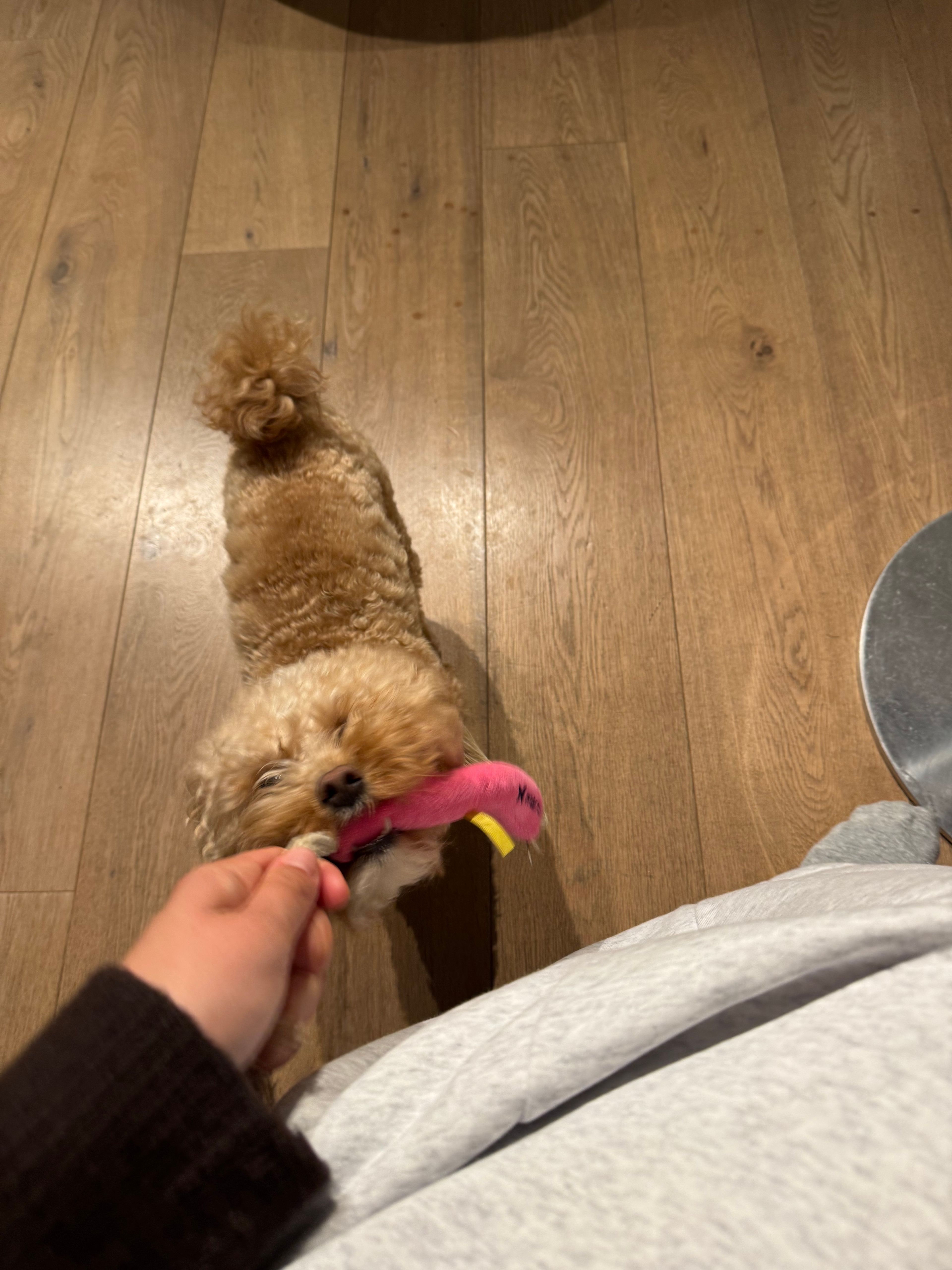 image-9