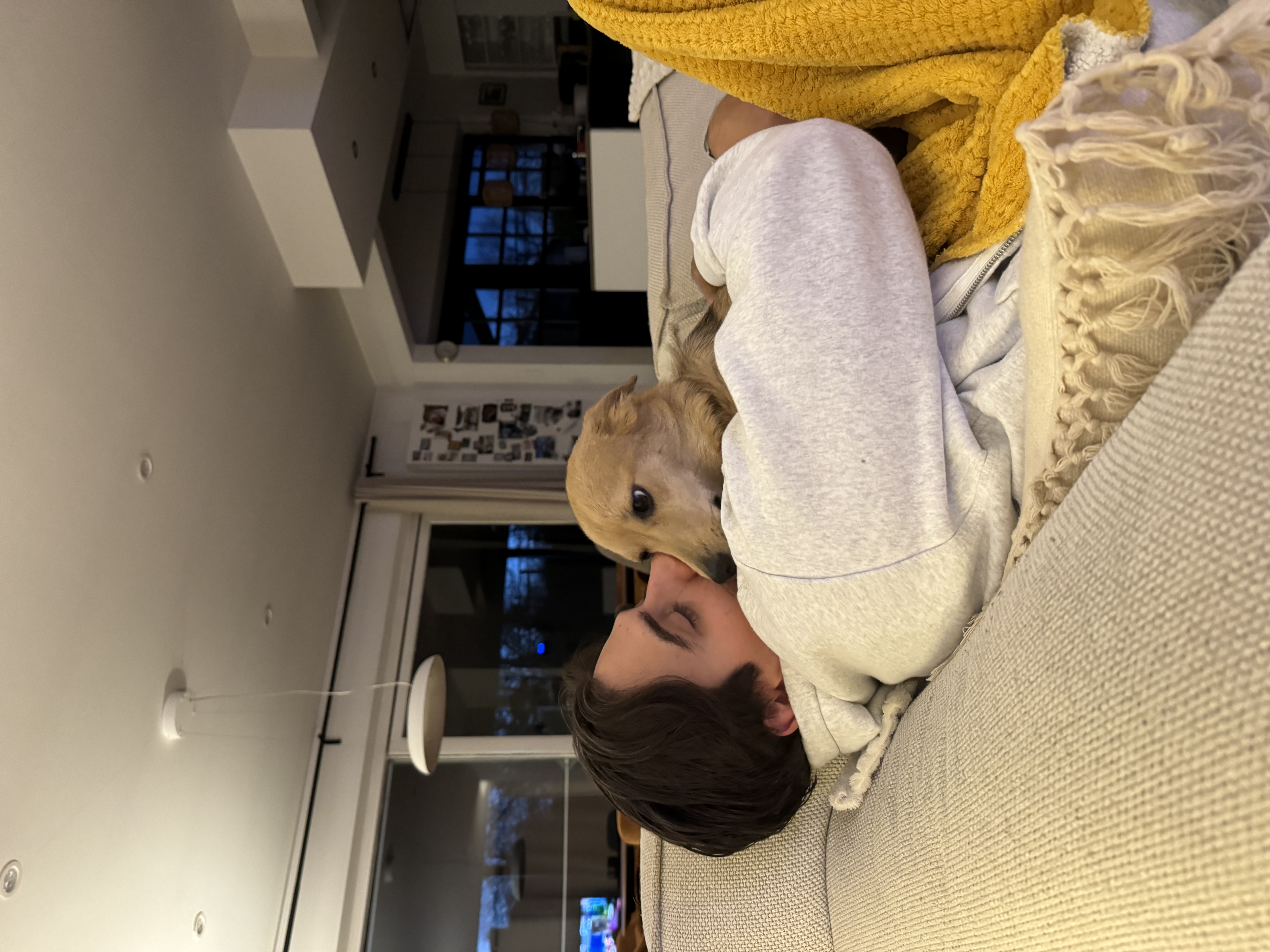 image-7