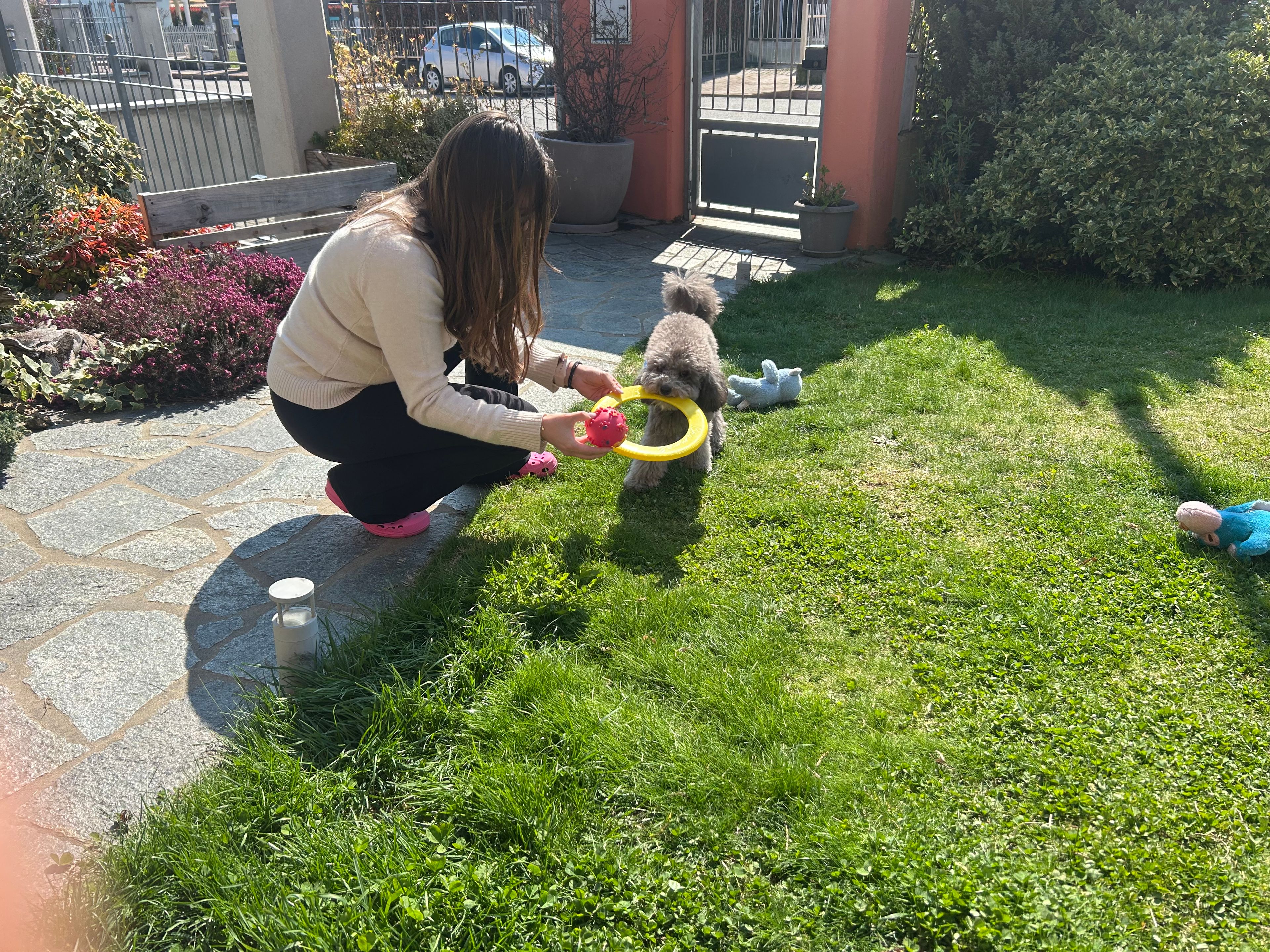 image-4