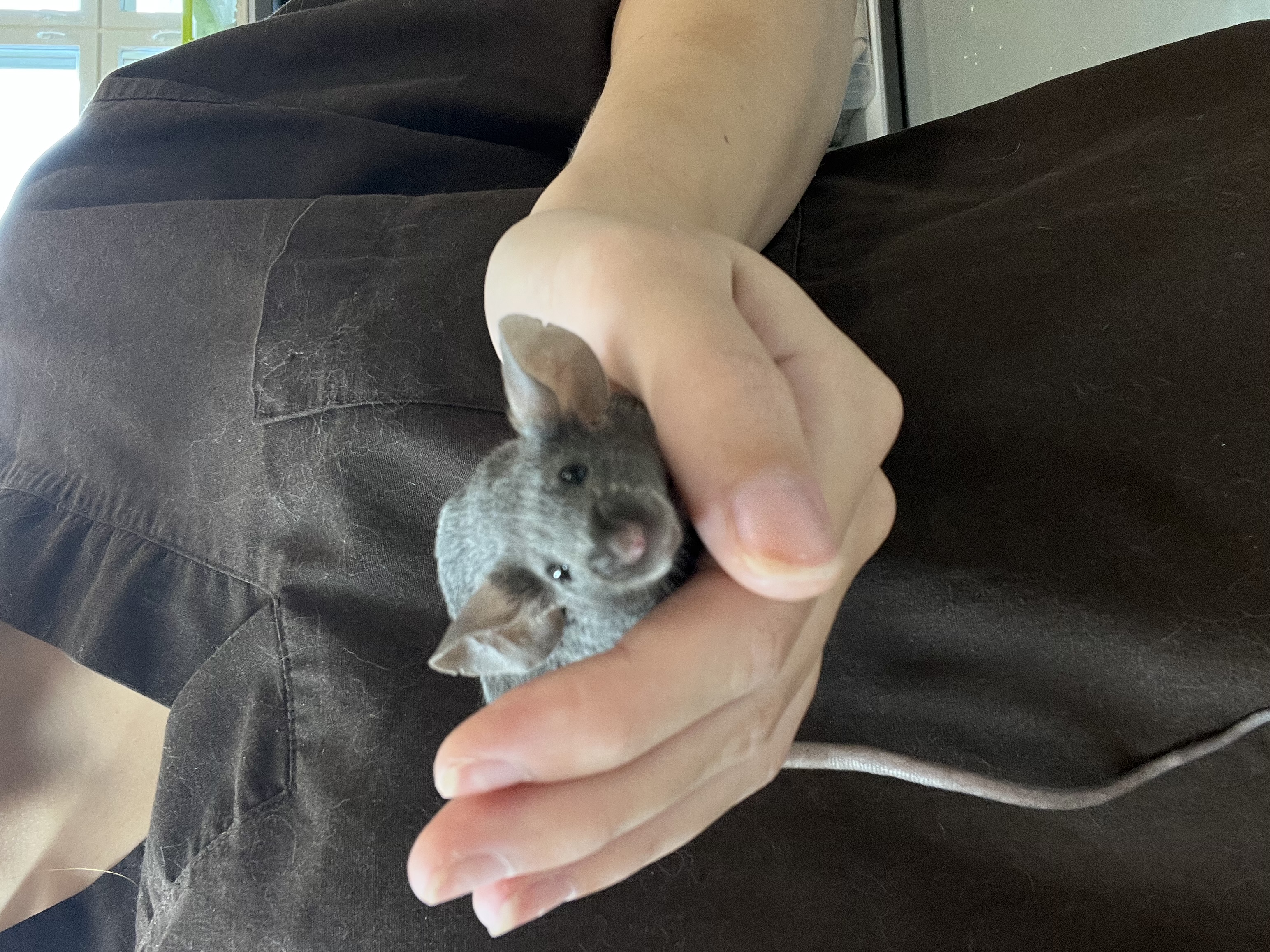 image-6