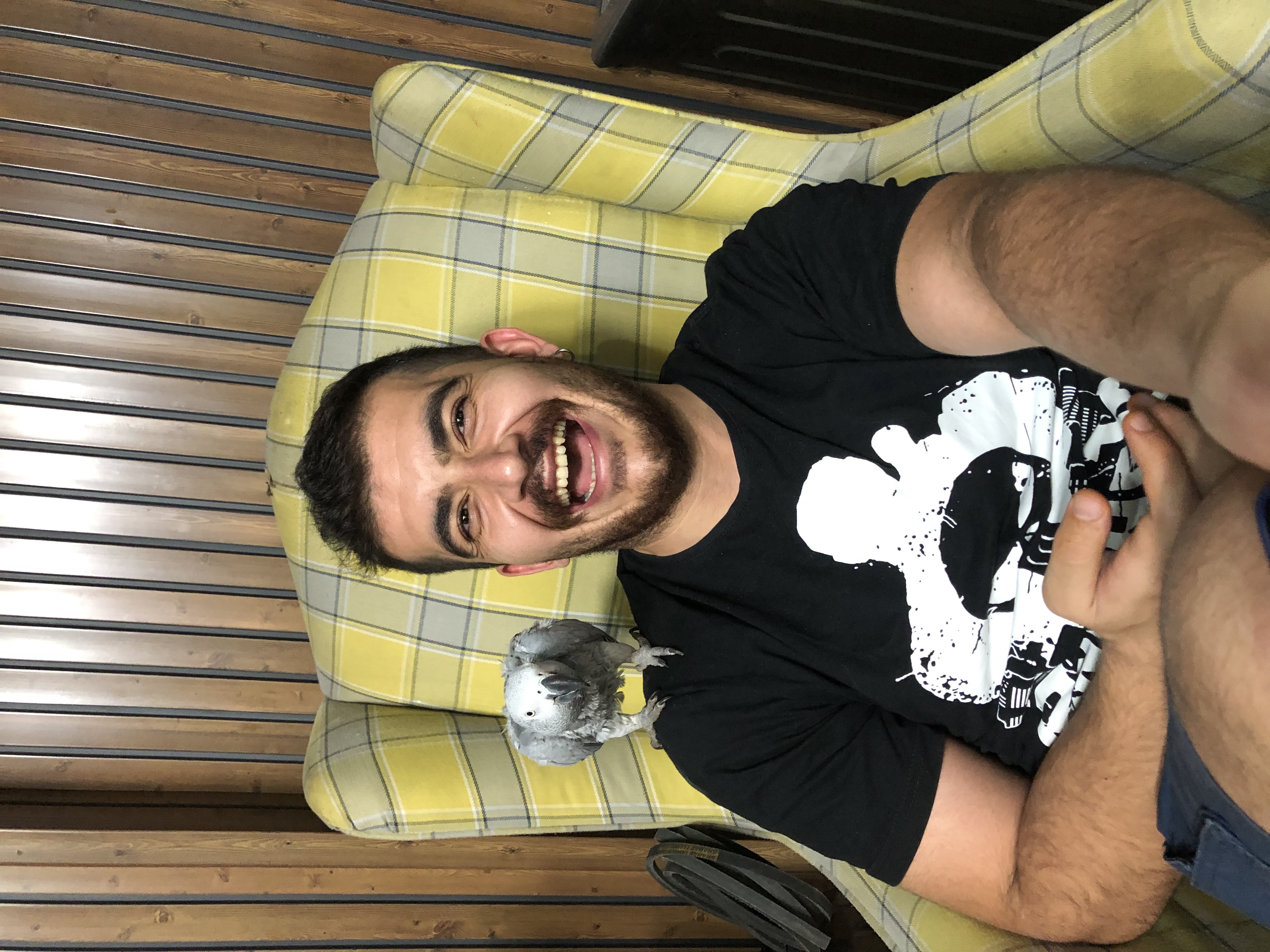 image-6