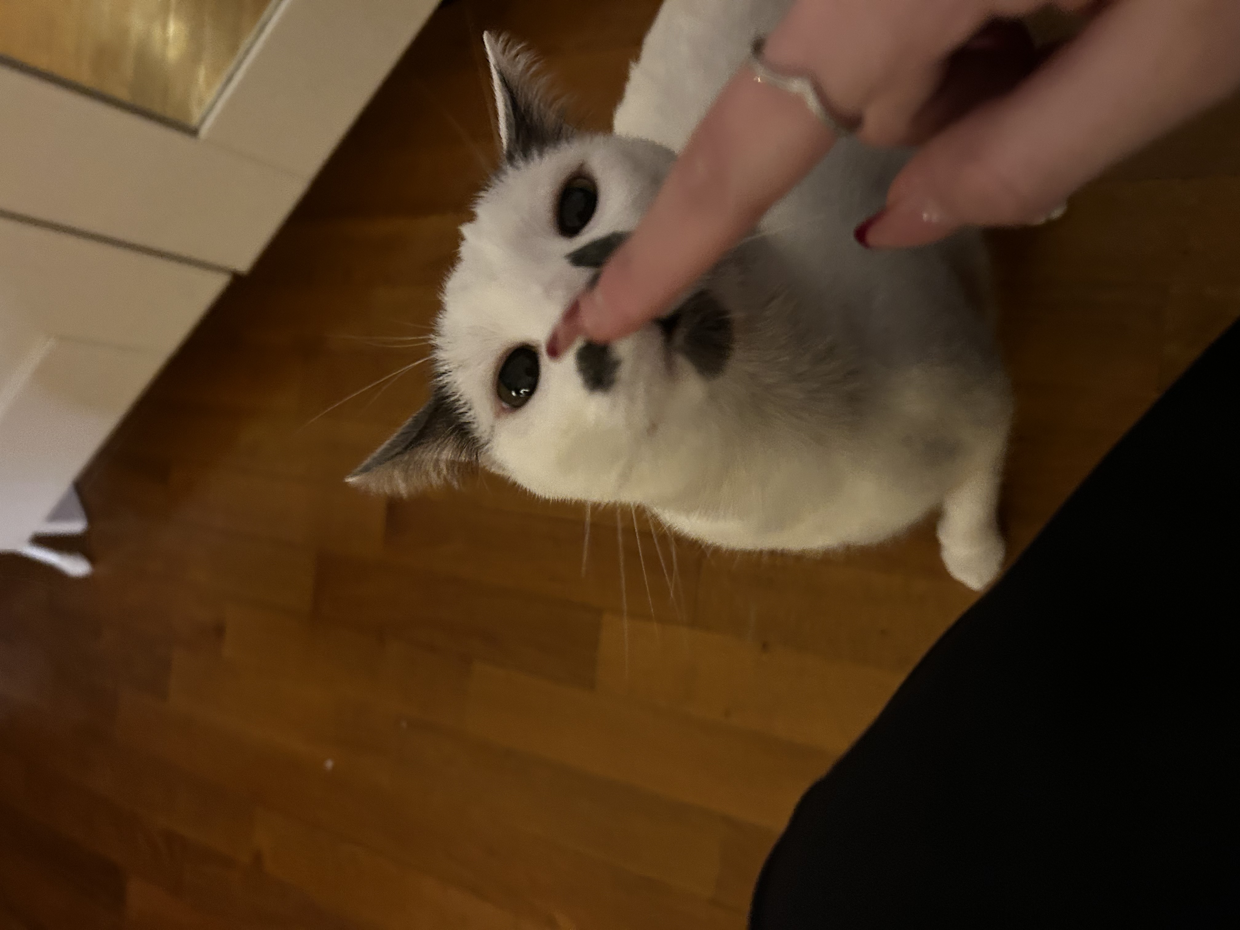 image-6