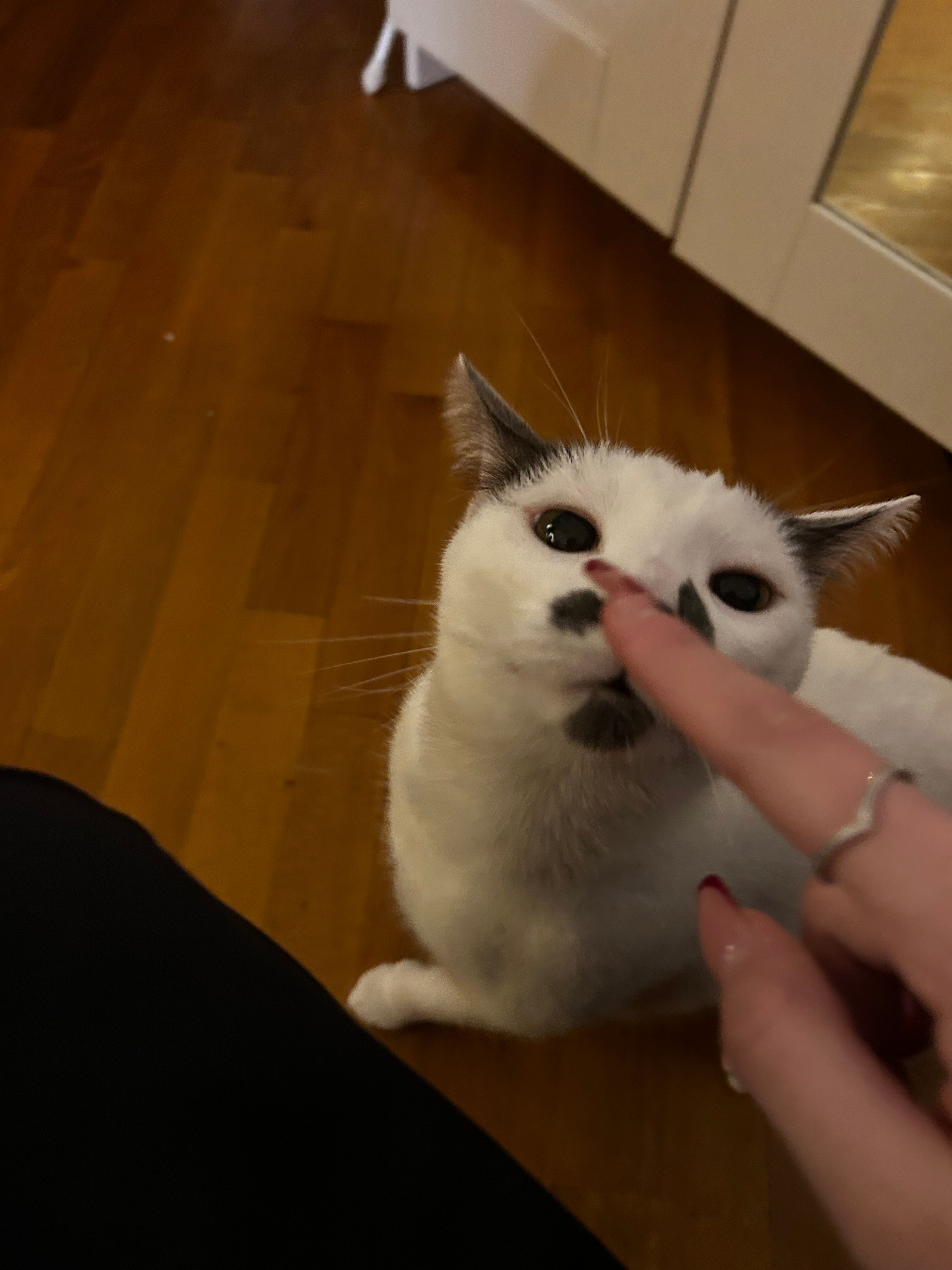 image-6