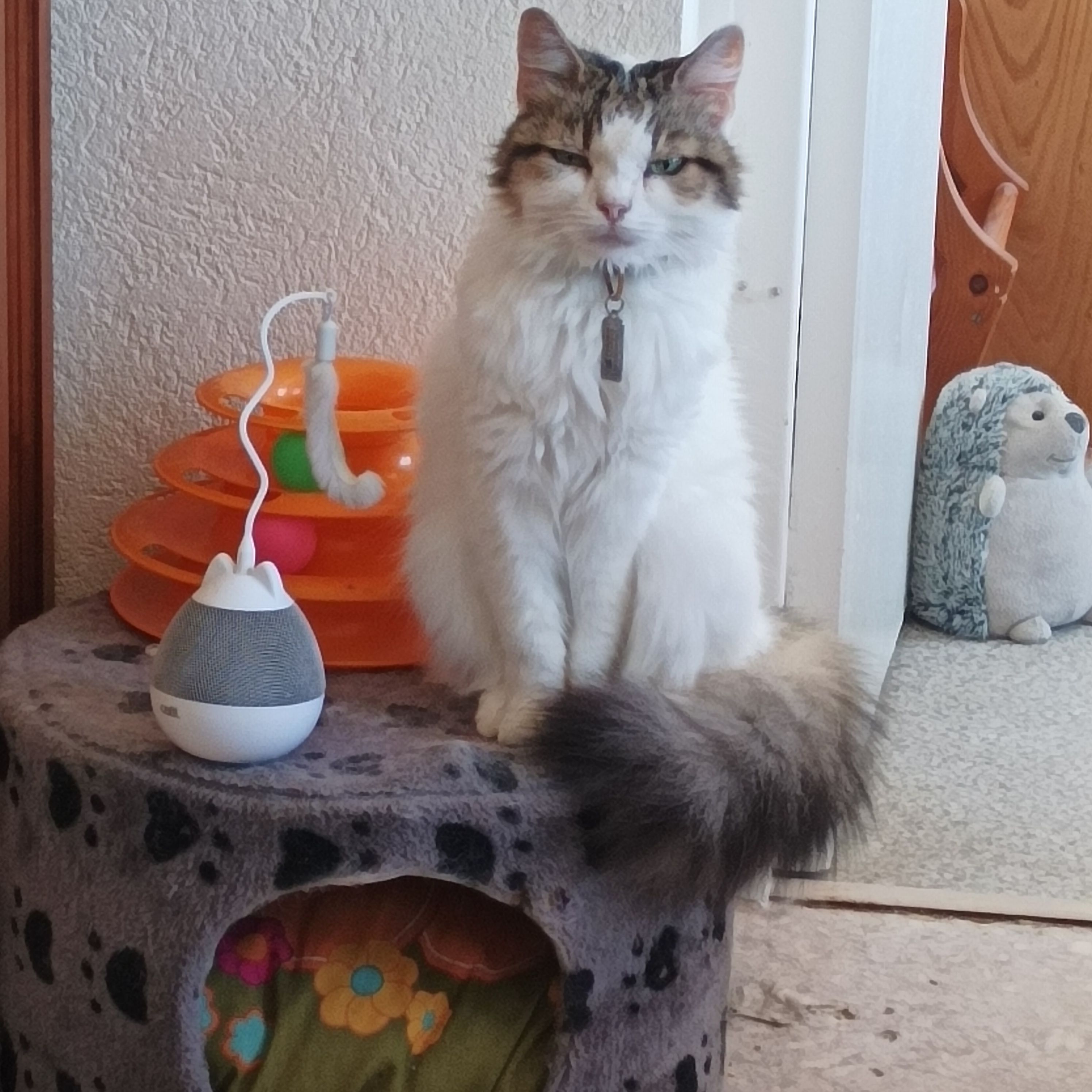 Princesse