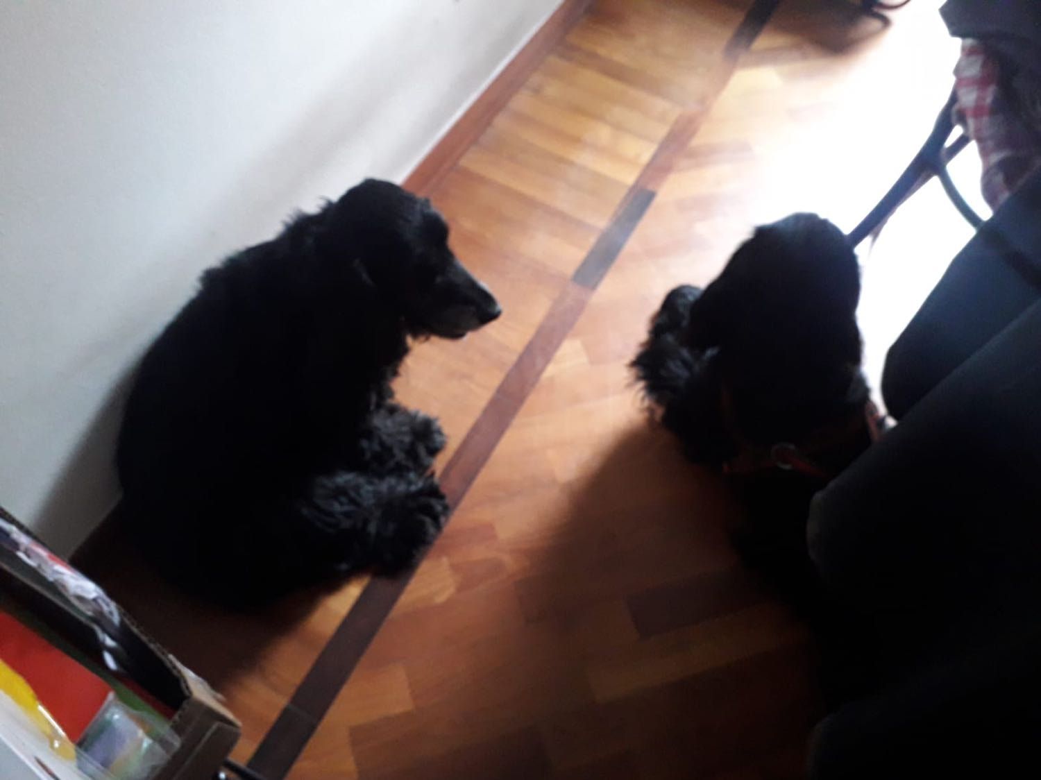 image-5