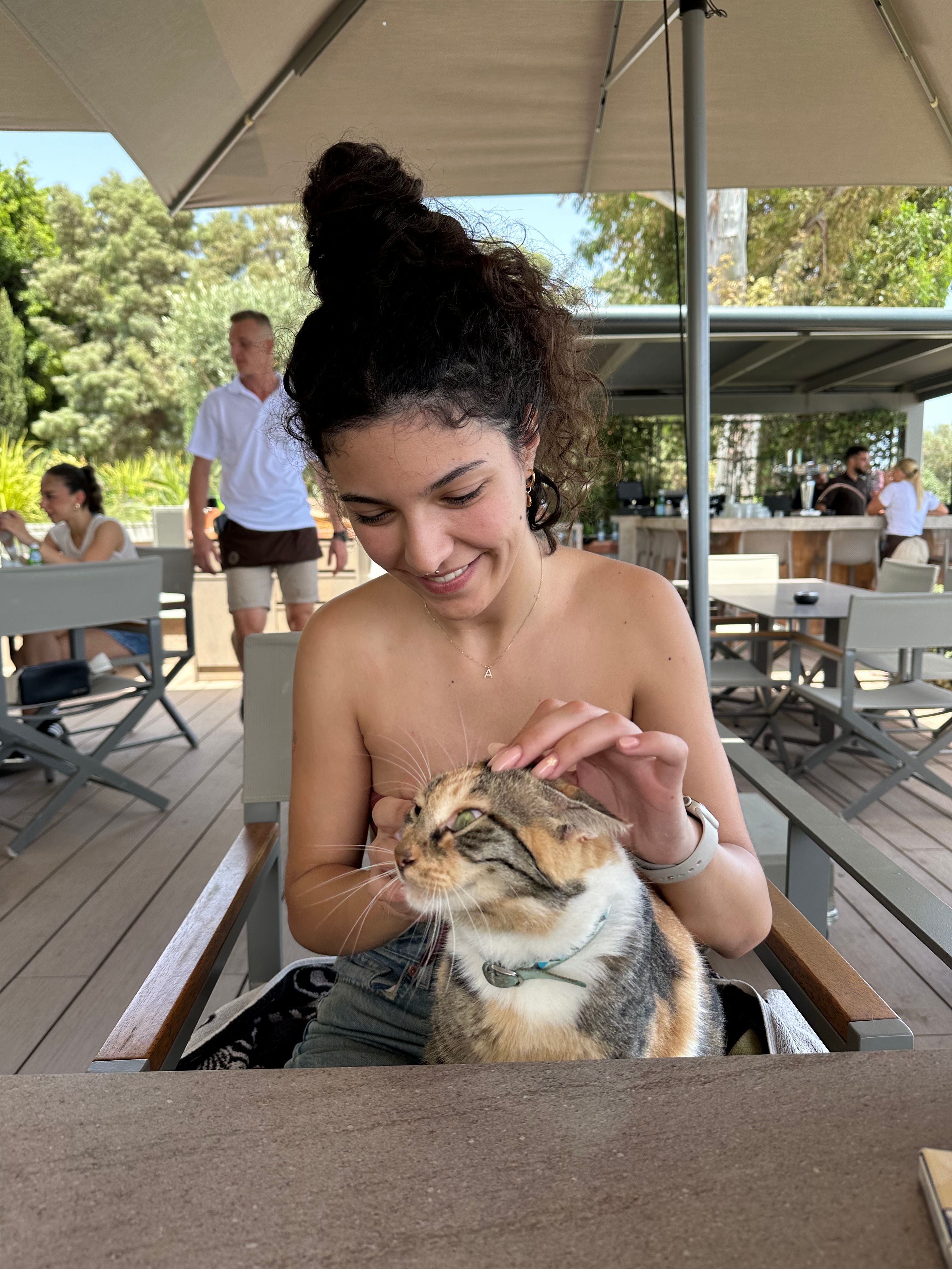 image-6