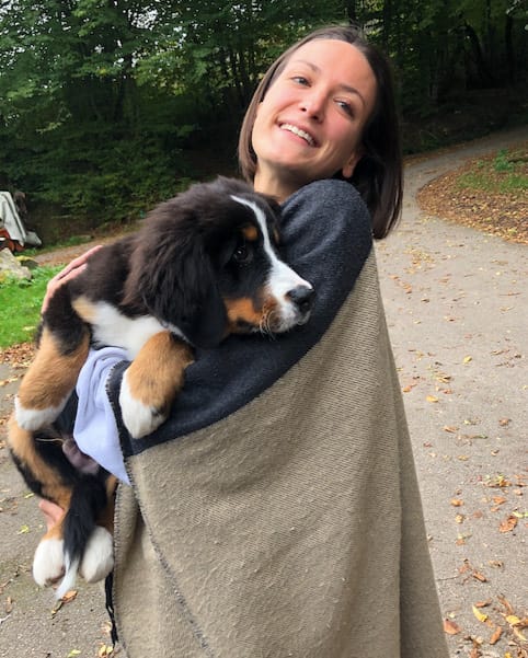 image-3