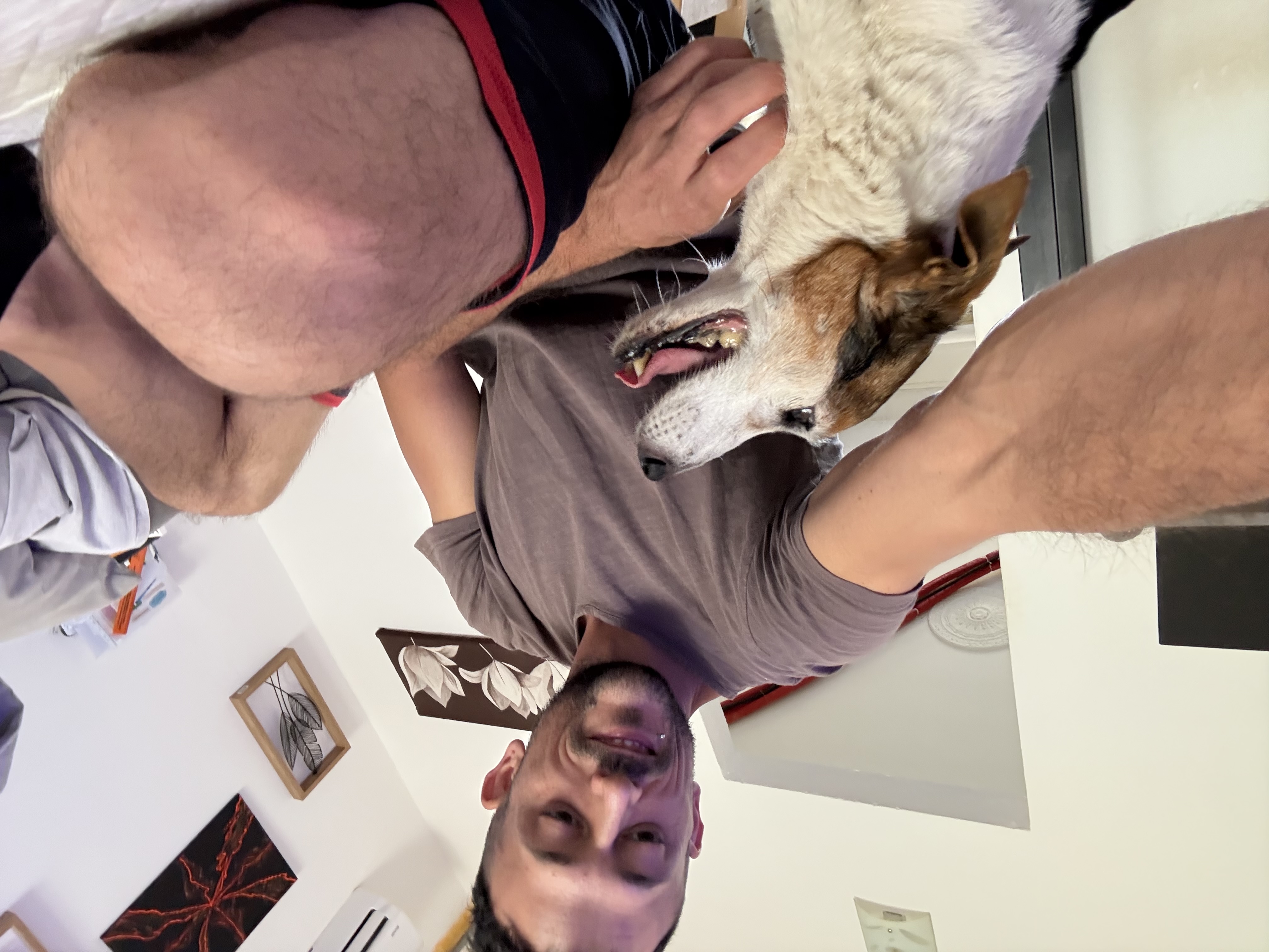 image-4