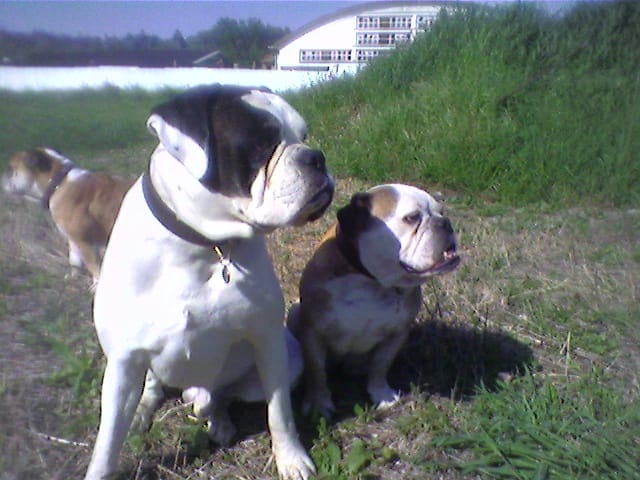 image-8