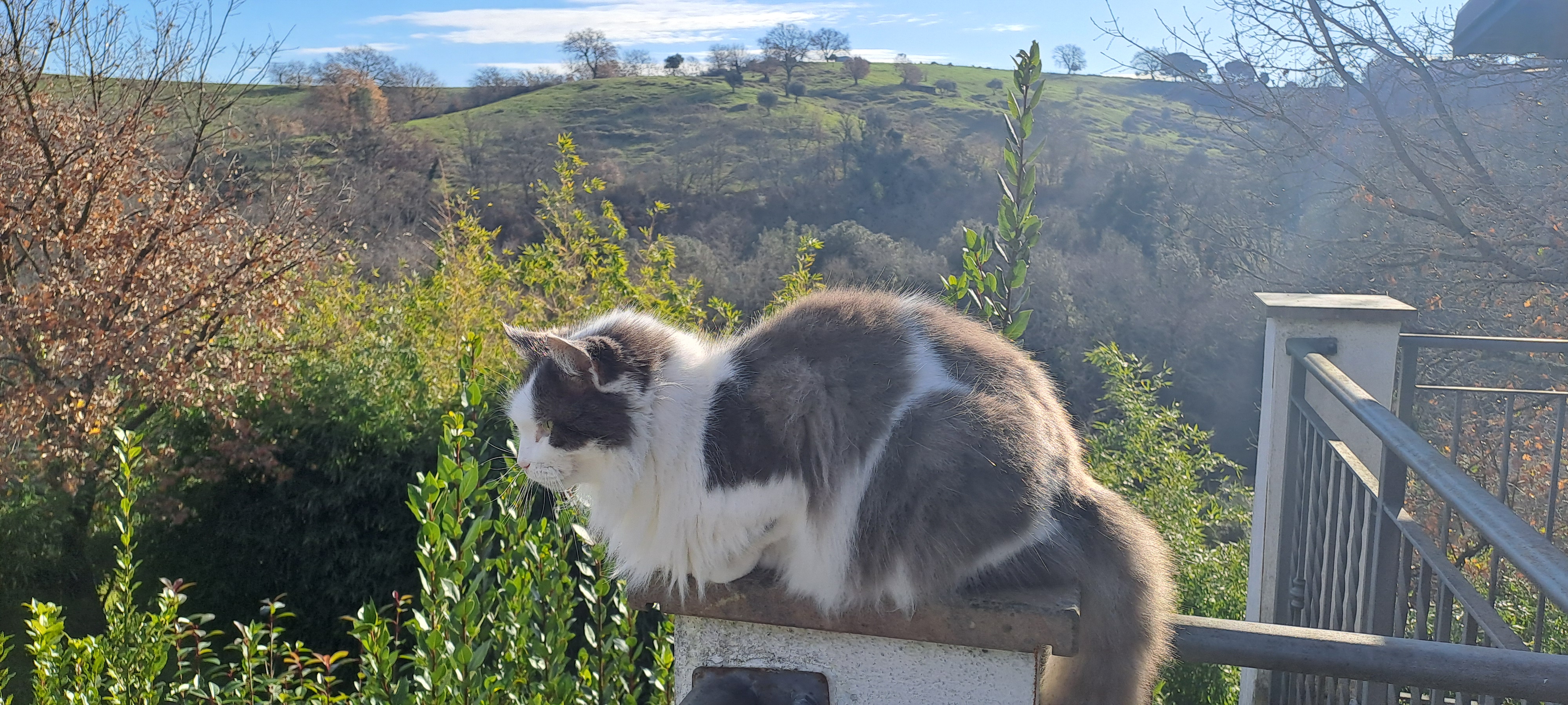 image-6