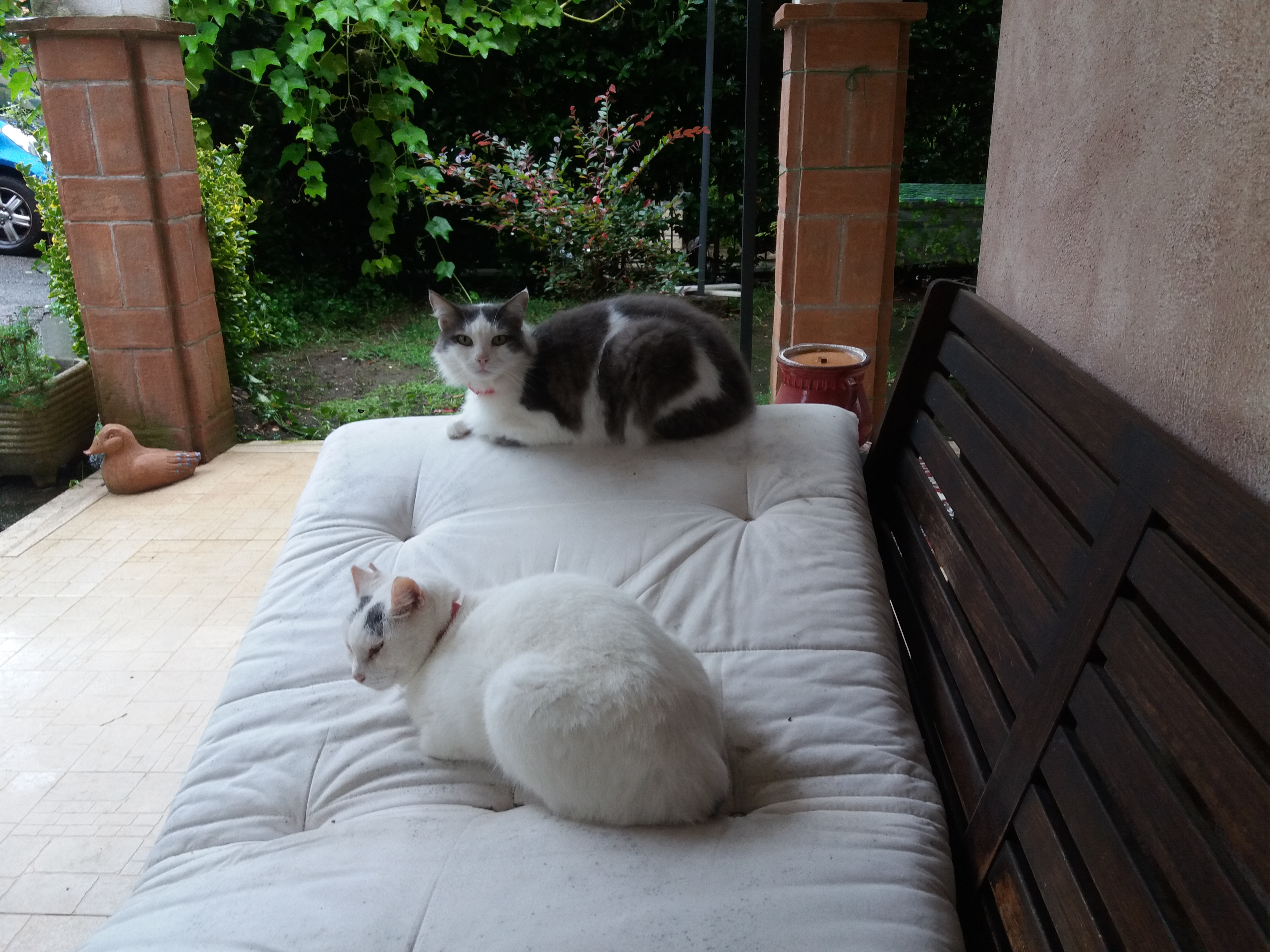 image-9