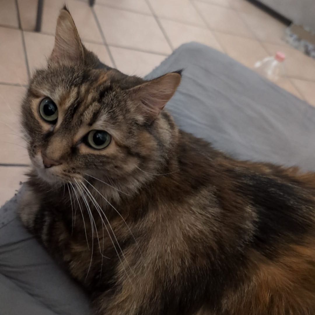 Mia