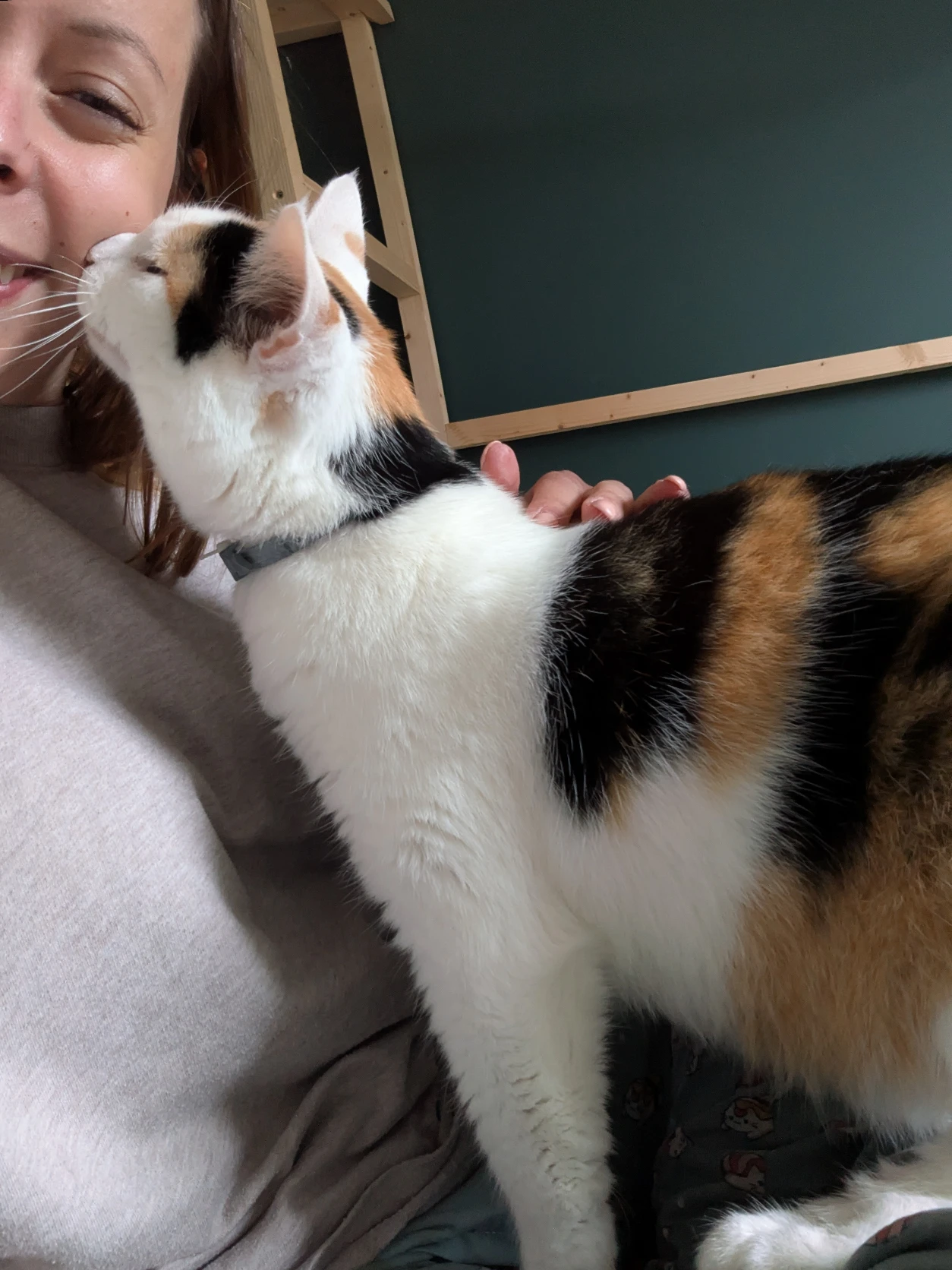 image-5
