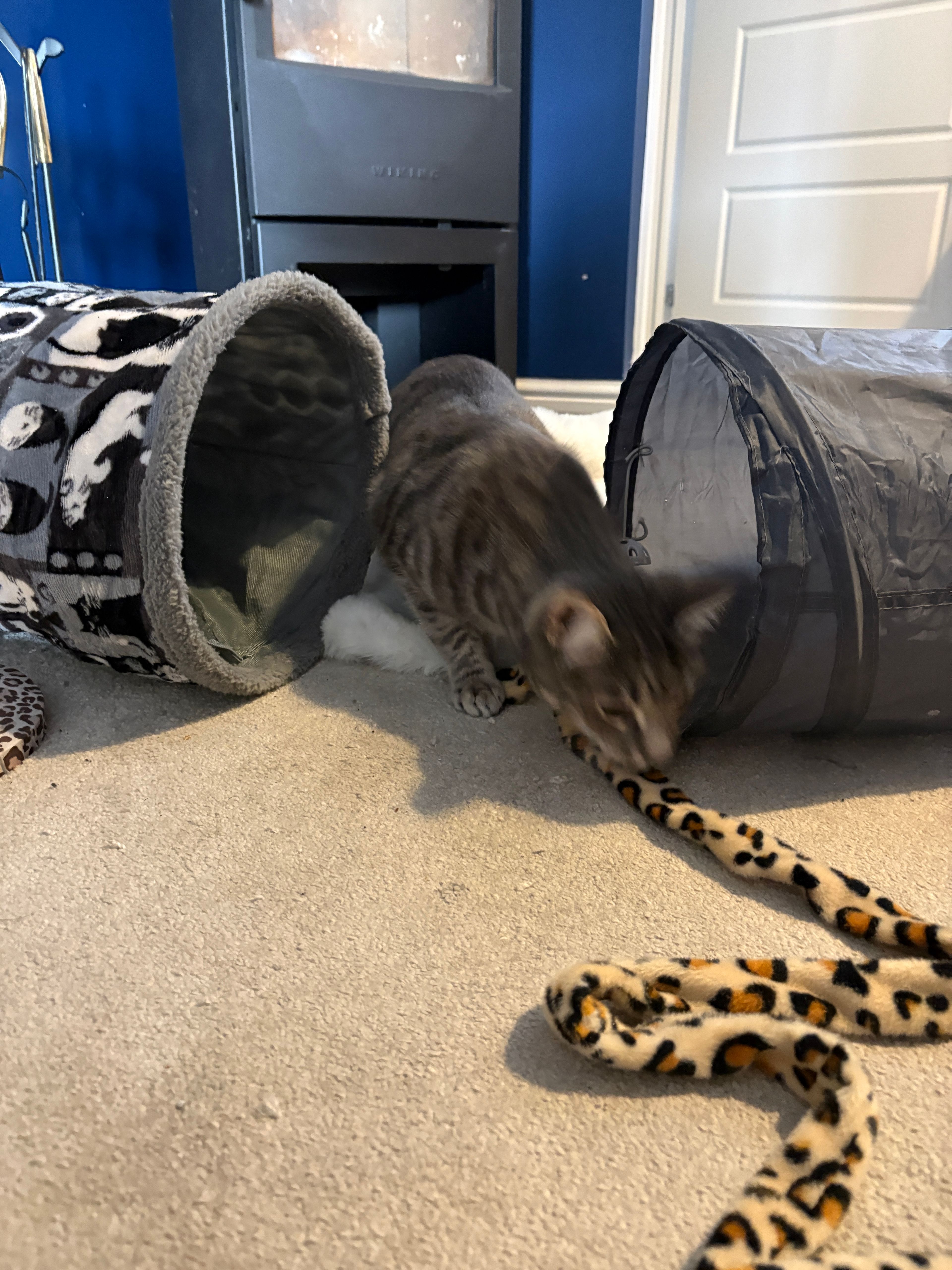 image-6