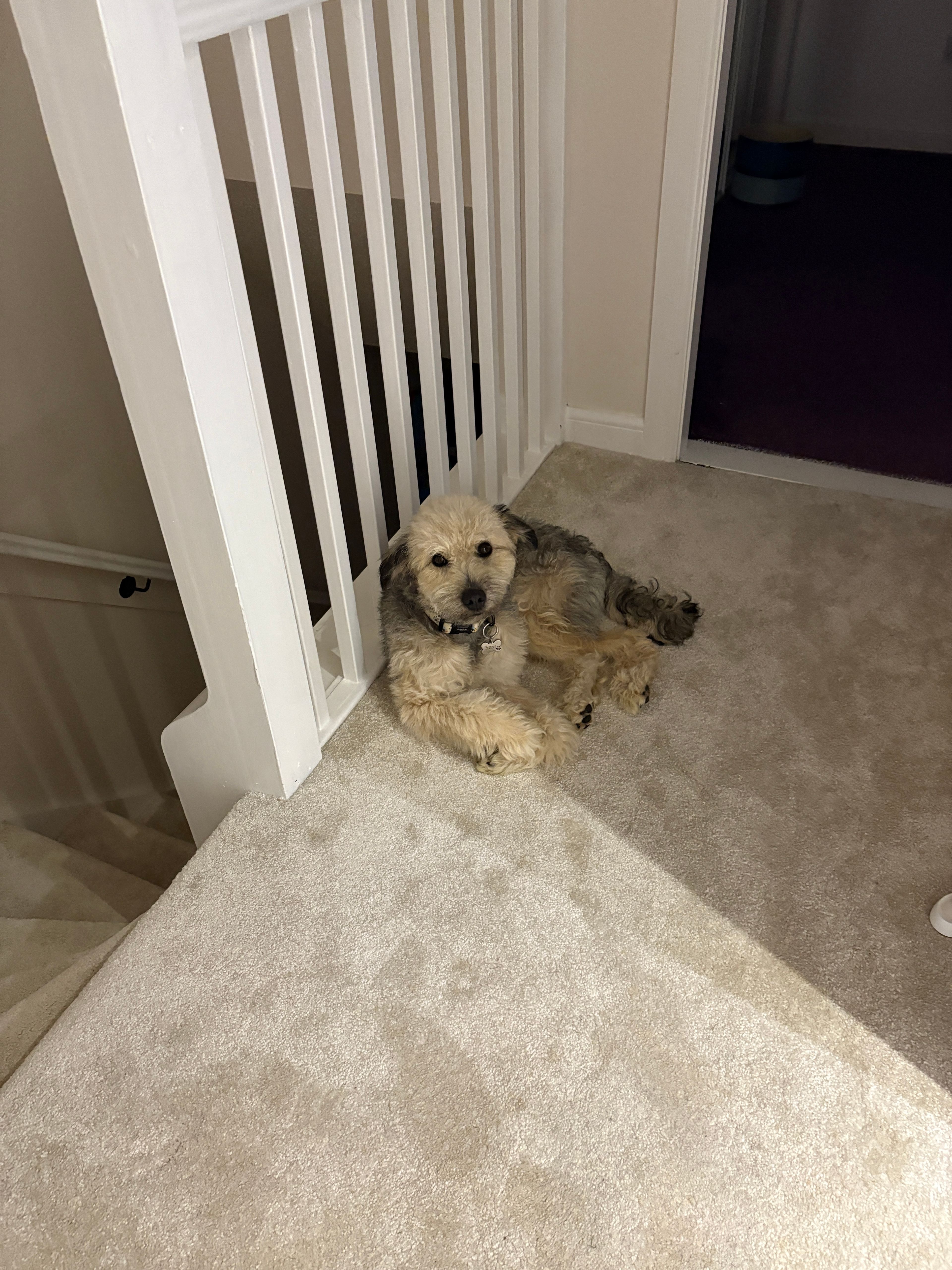 image-28