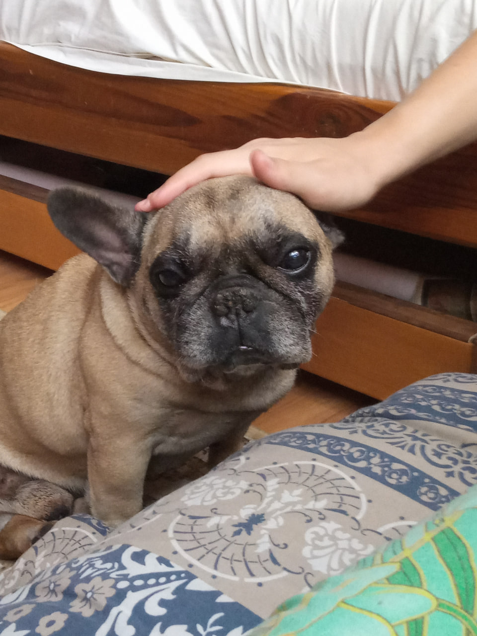image-8