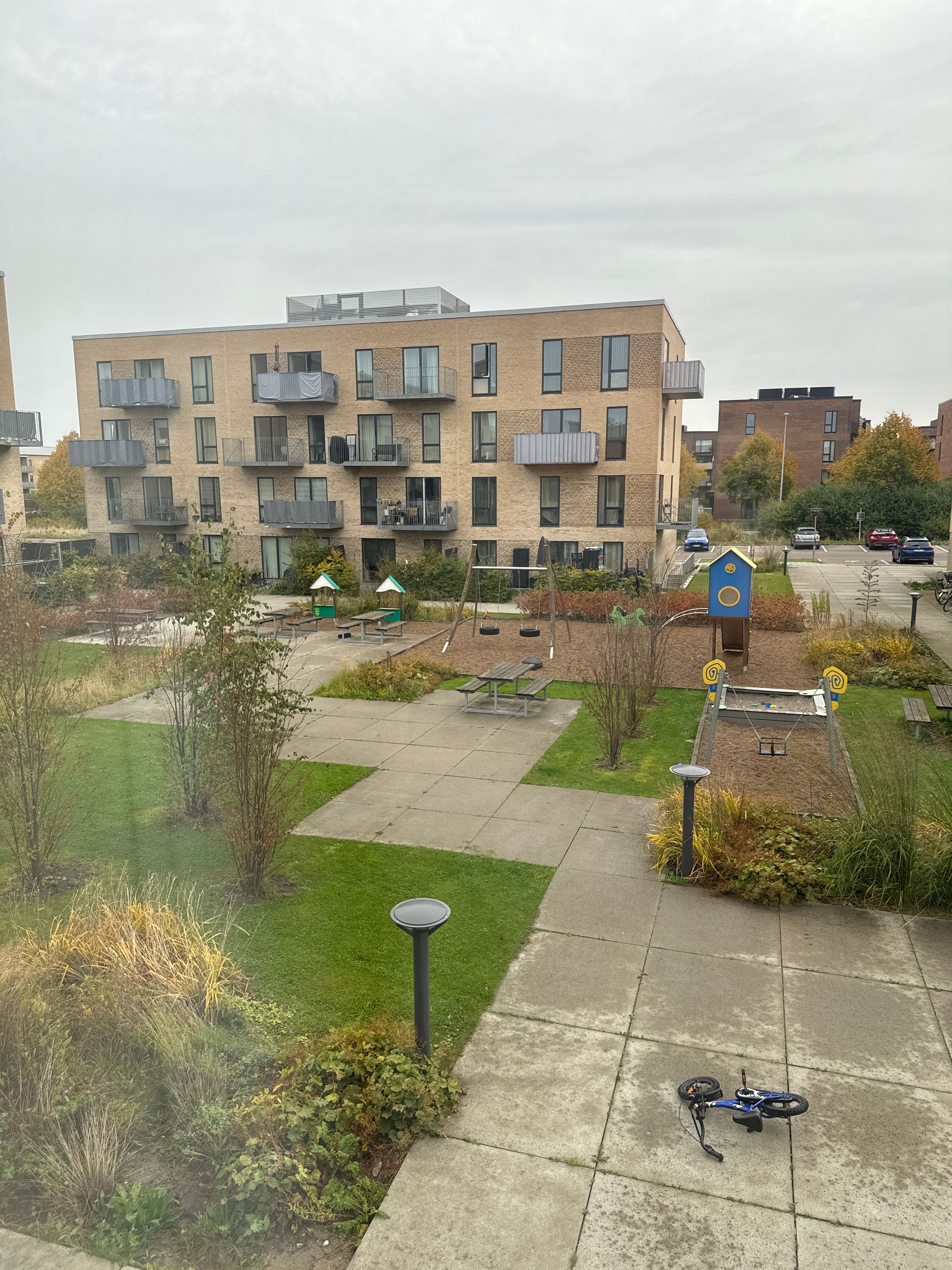image-12