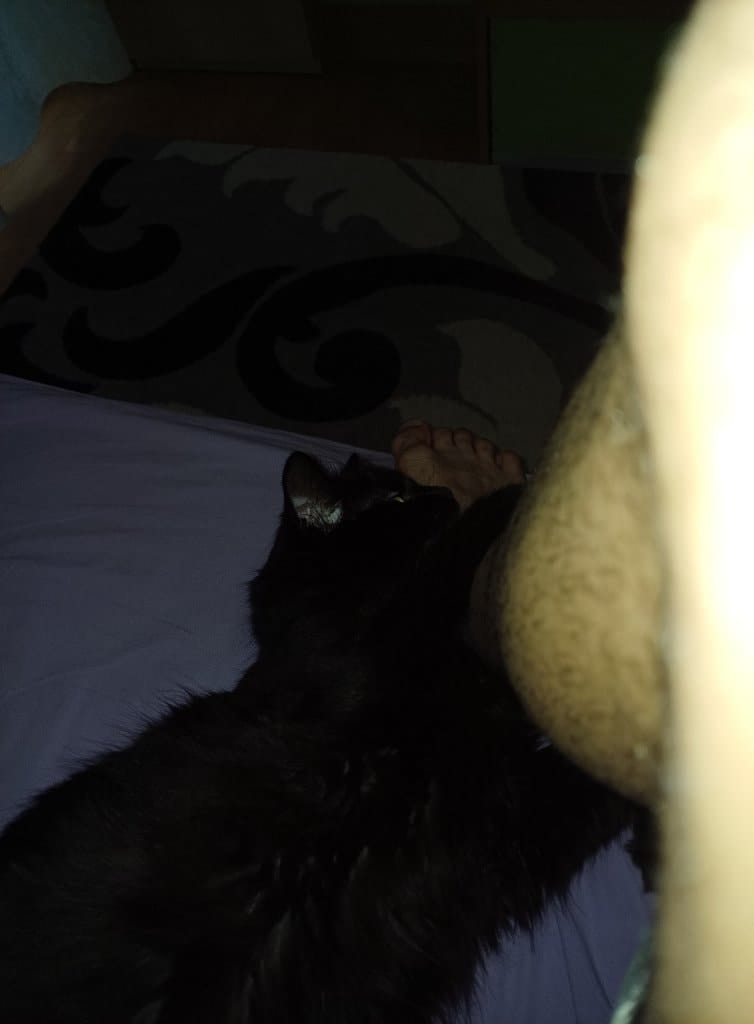 image-8