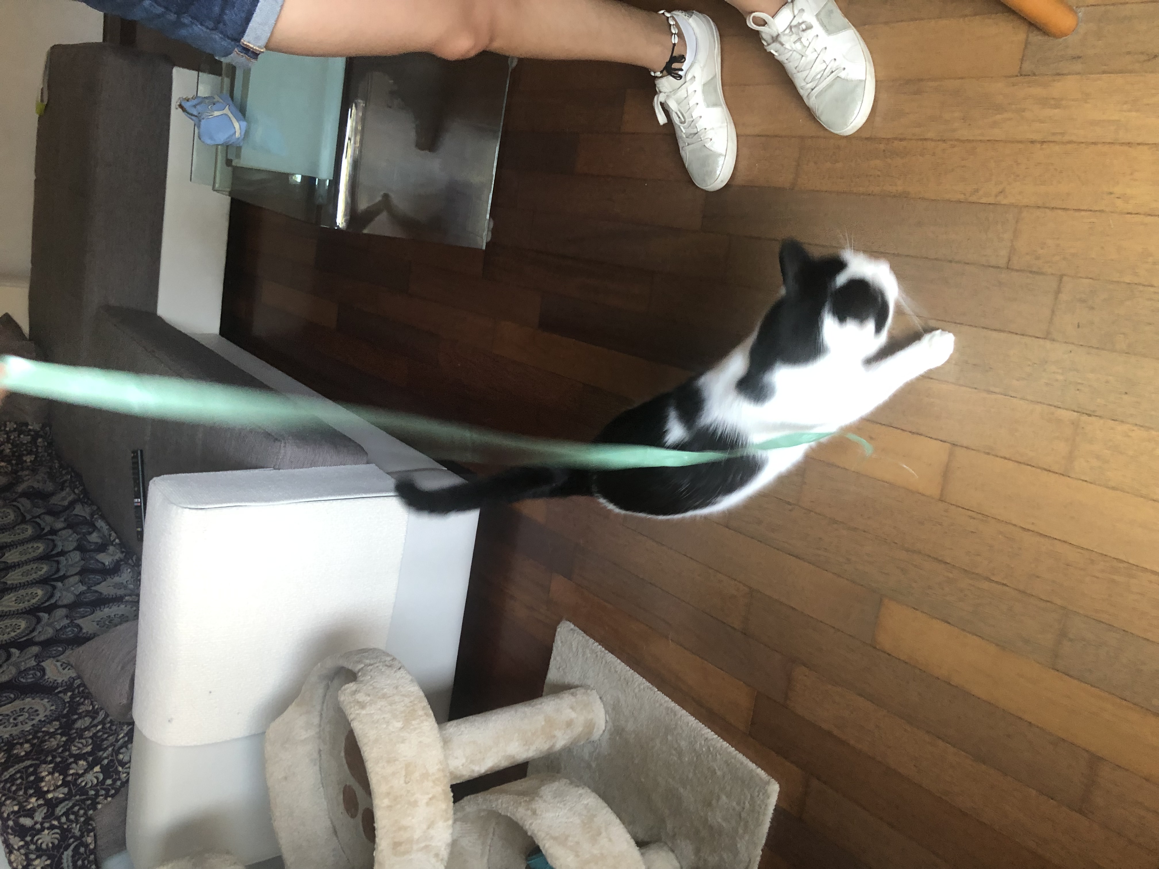 image-7