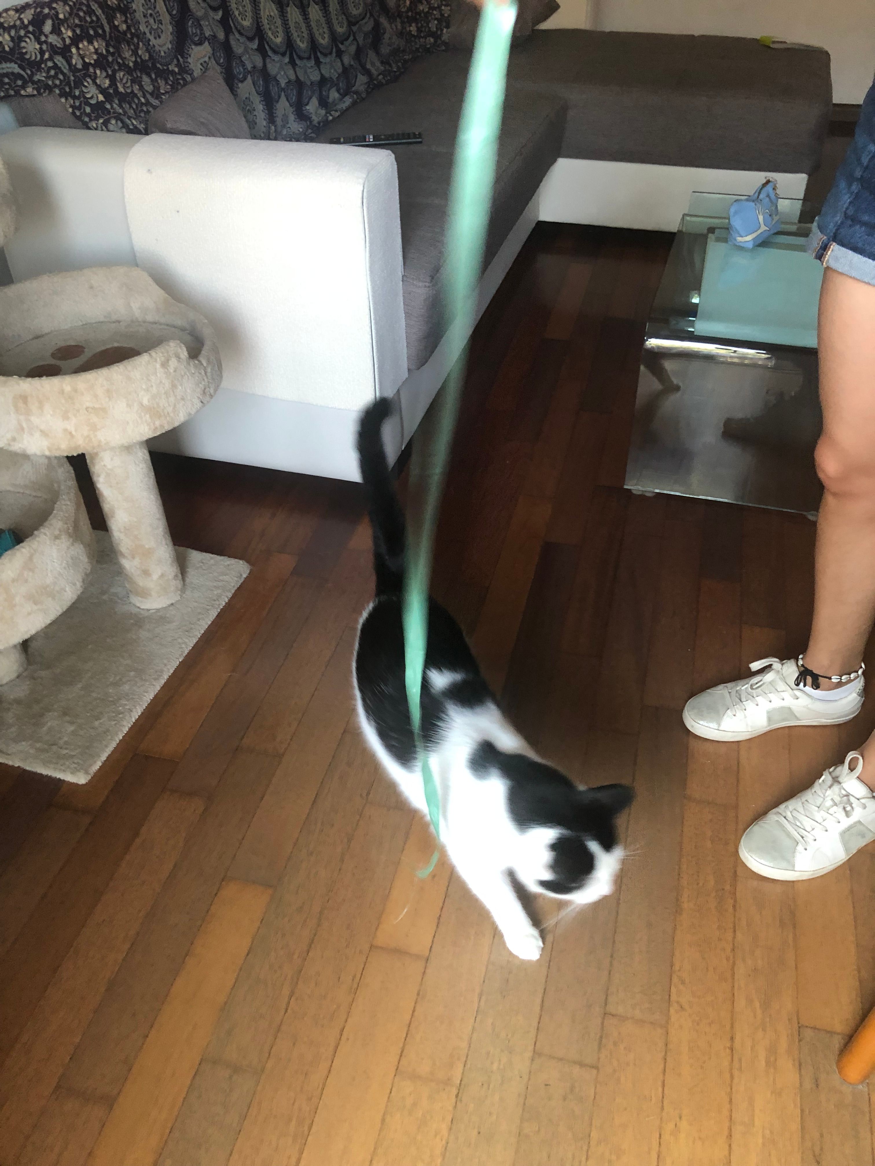 image-7