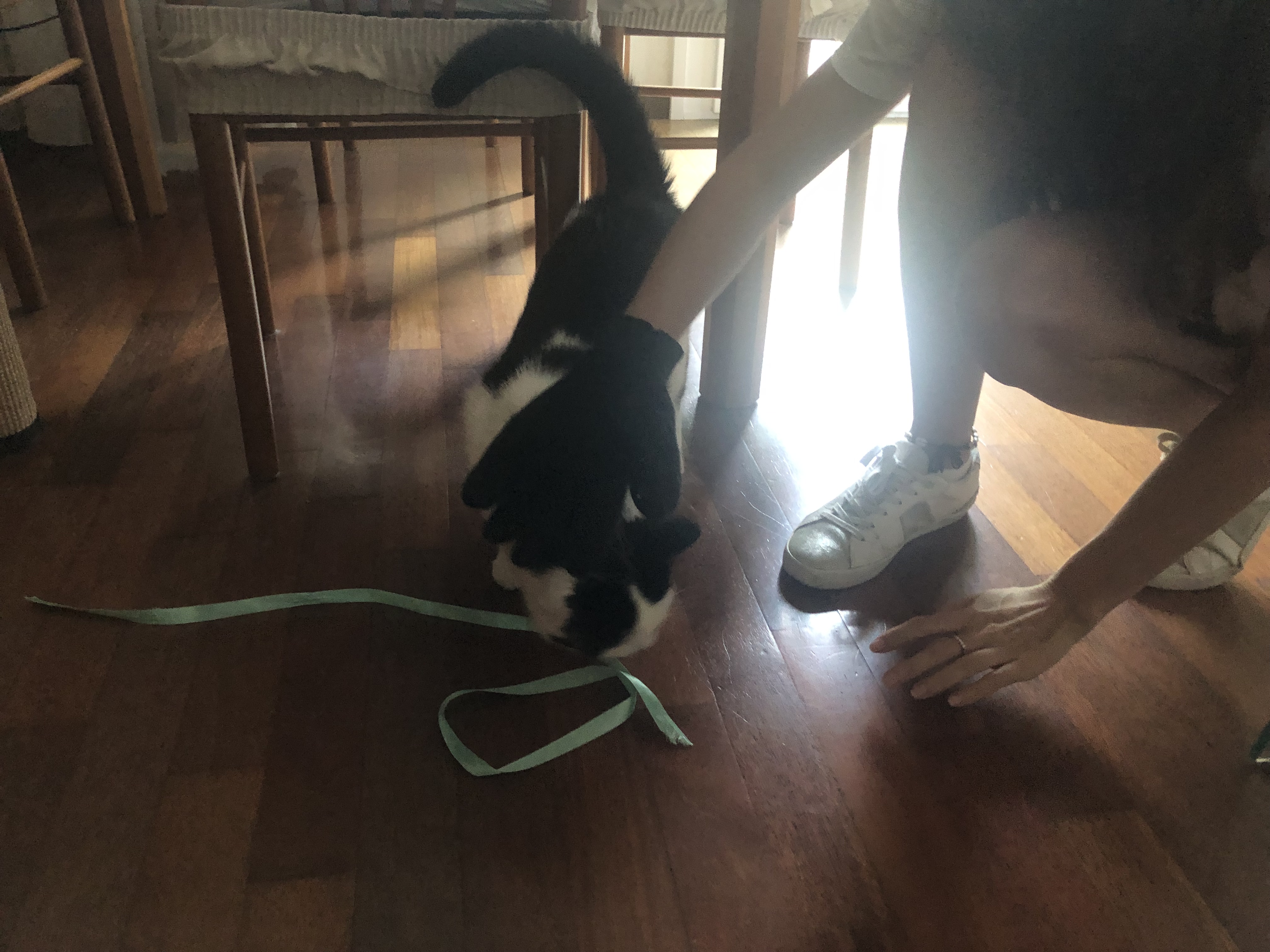 image-8