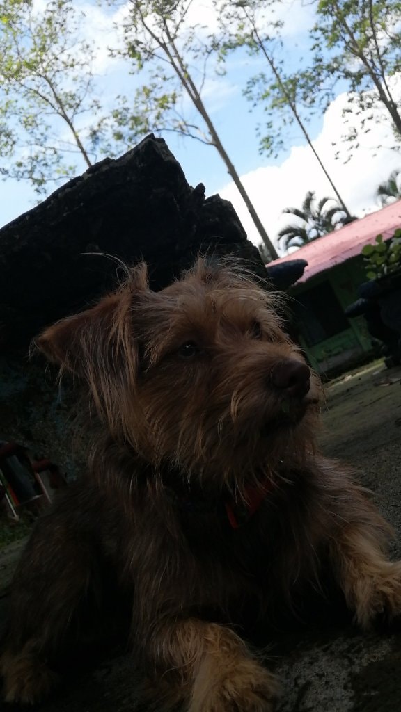 image-5