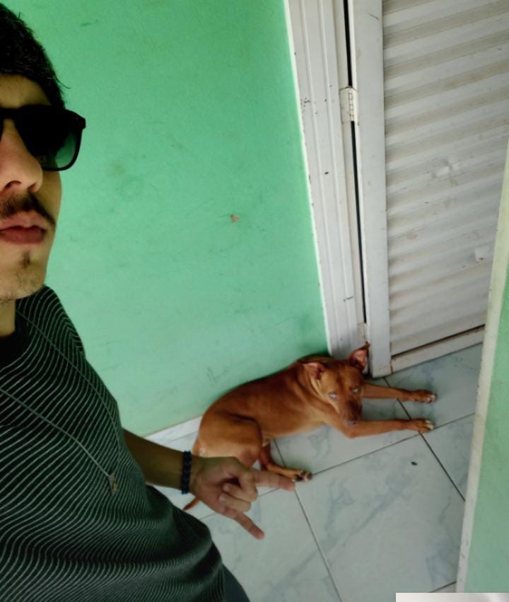 image-6