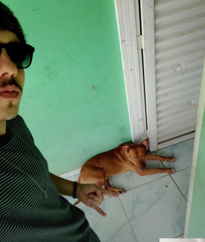image-6