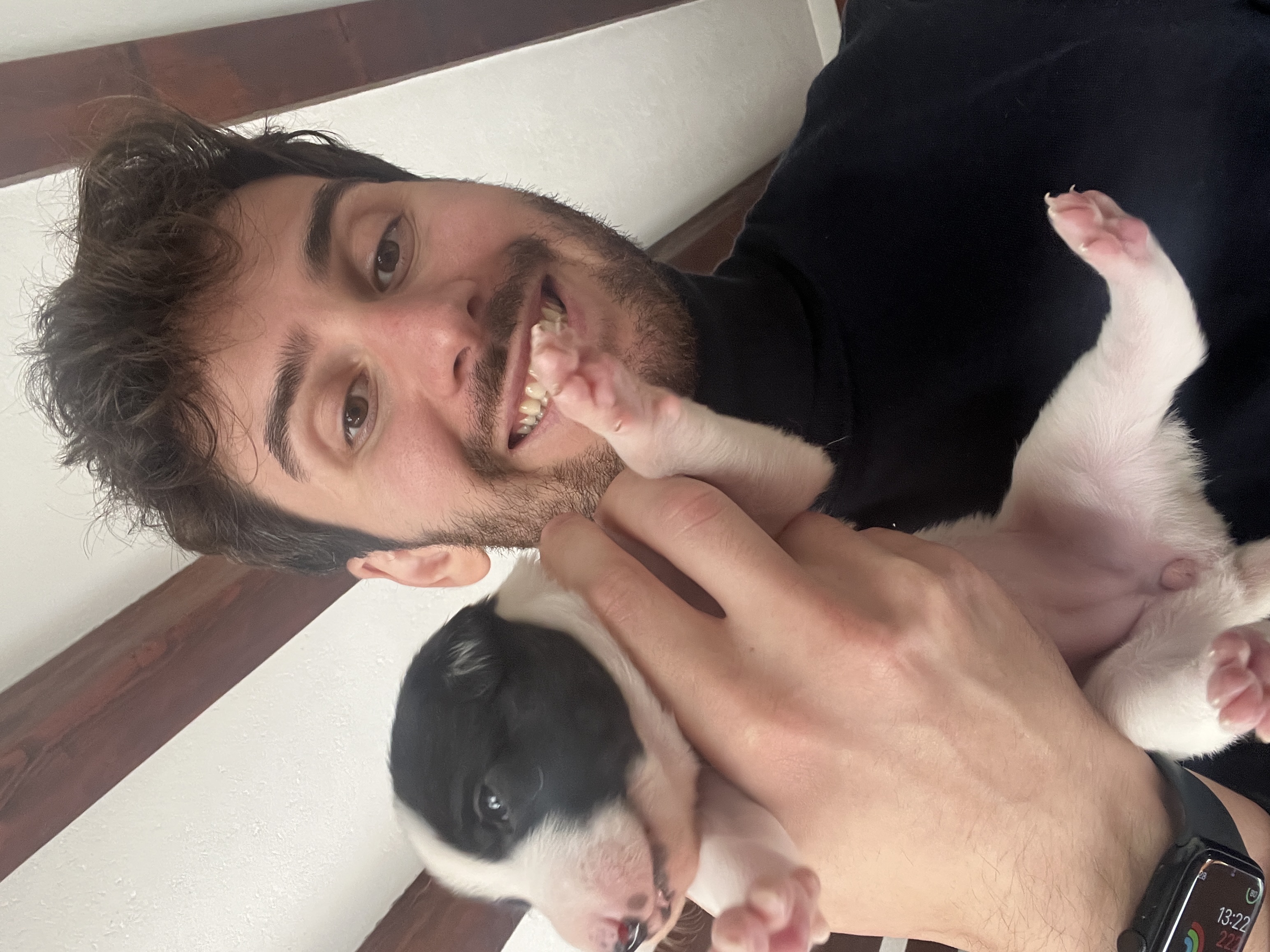 image-4