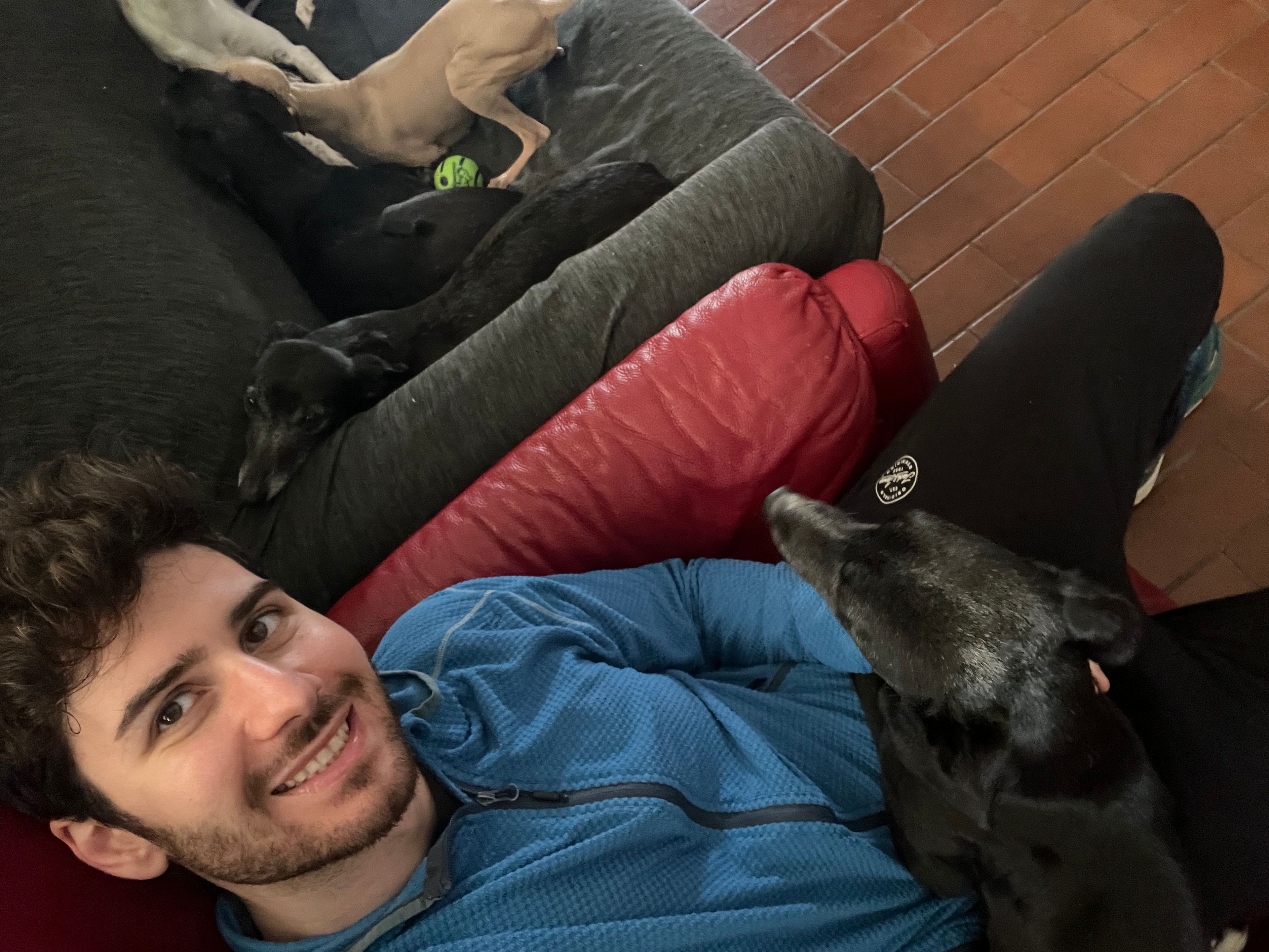 image-12