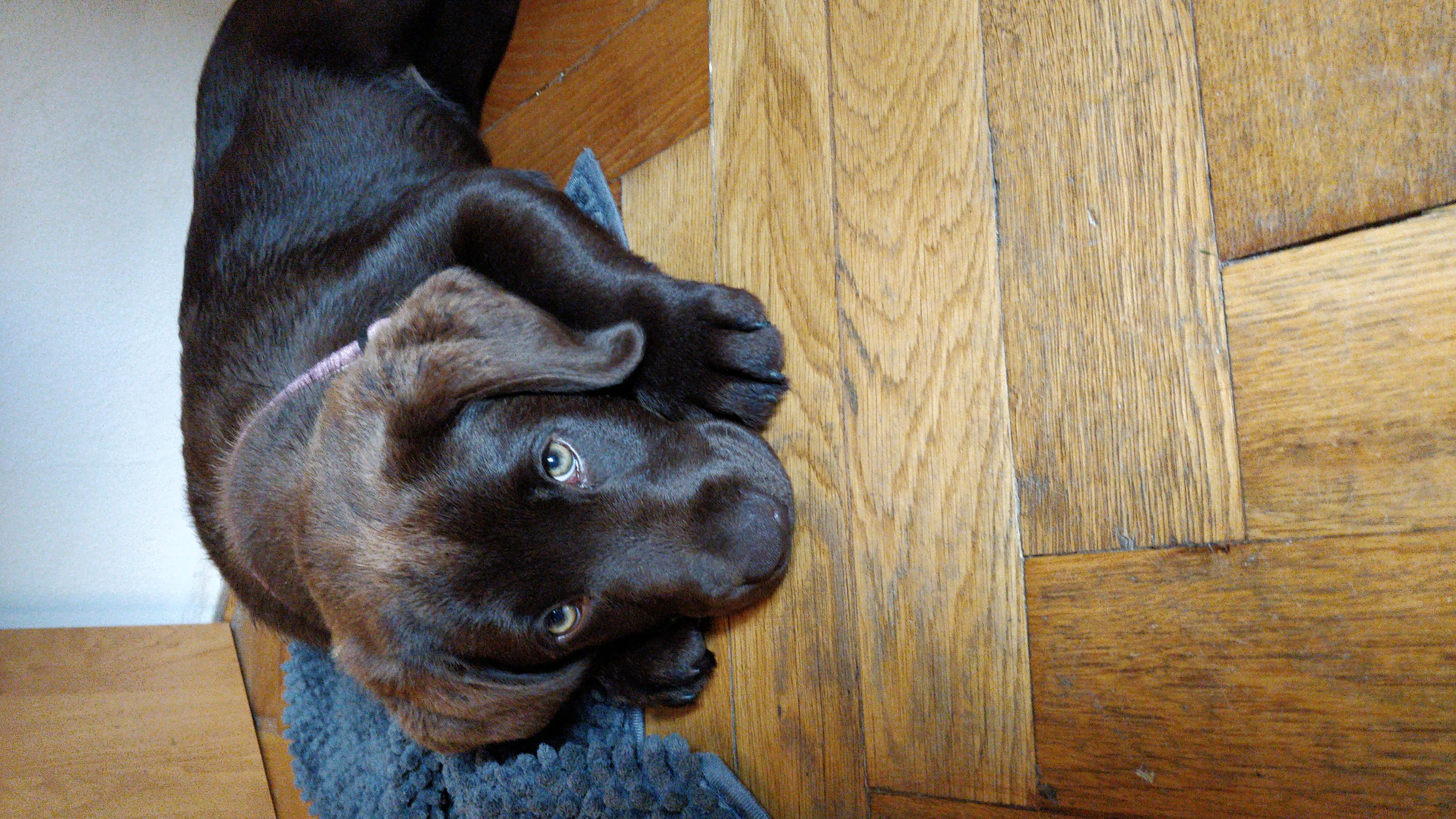 image-8