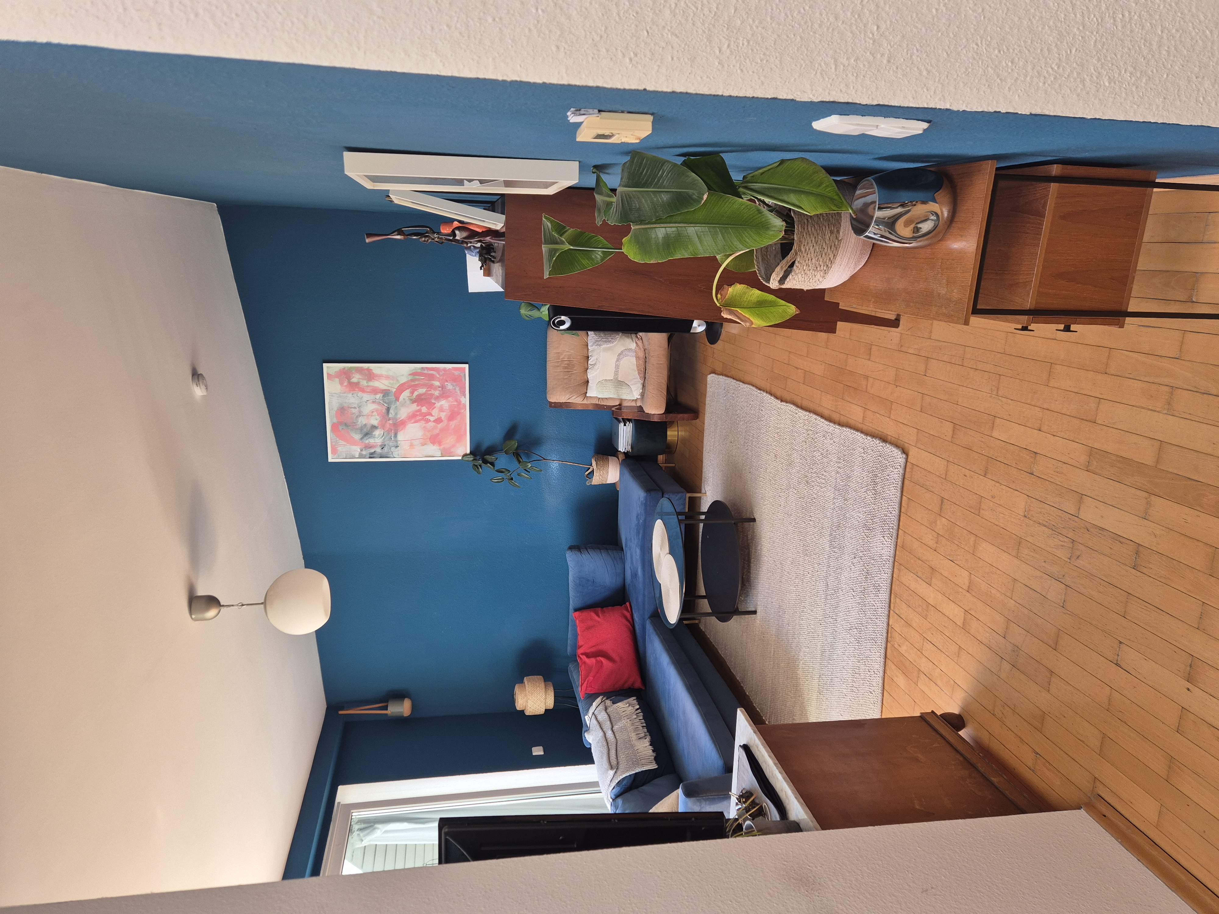 image-14