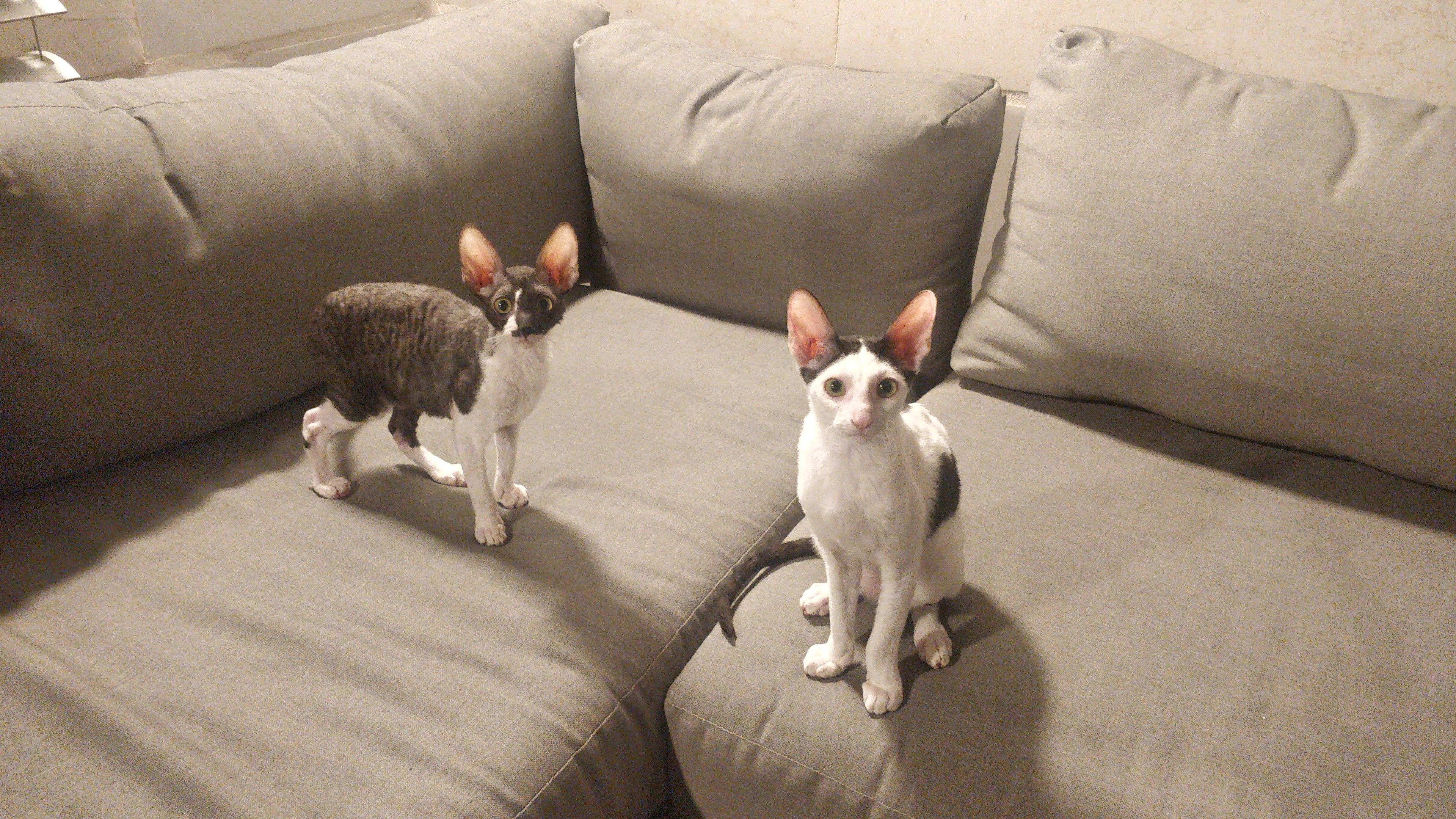 image-9