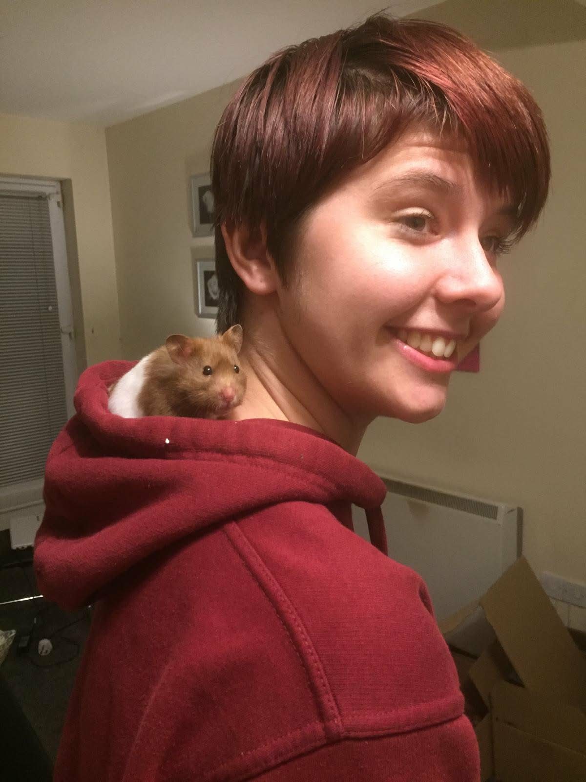 image-8