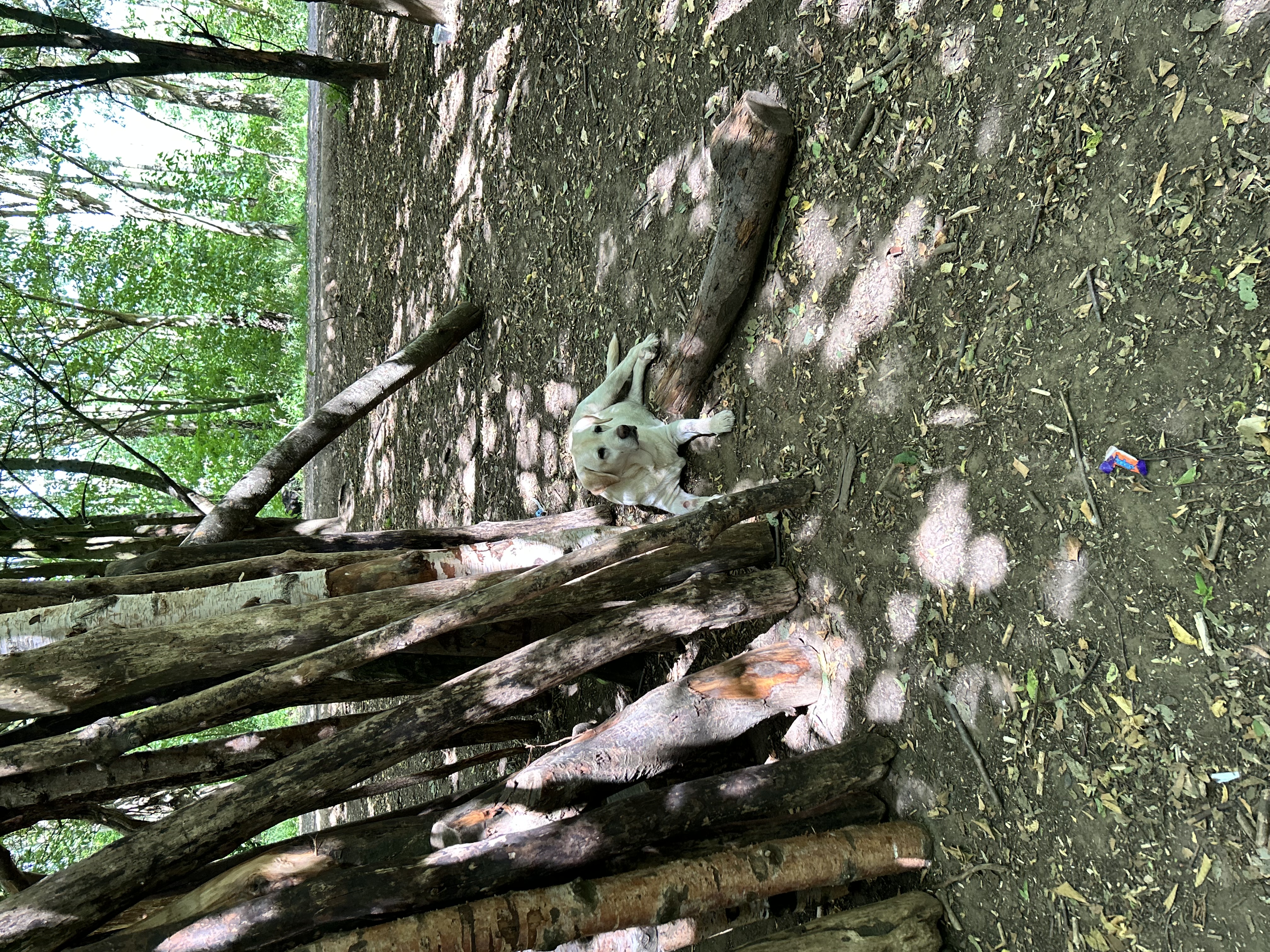image-6