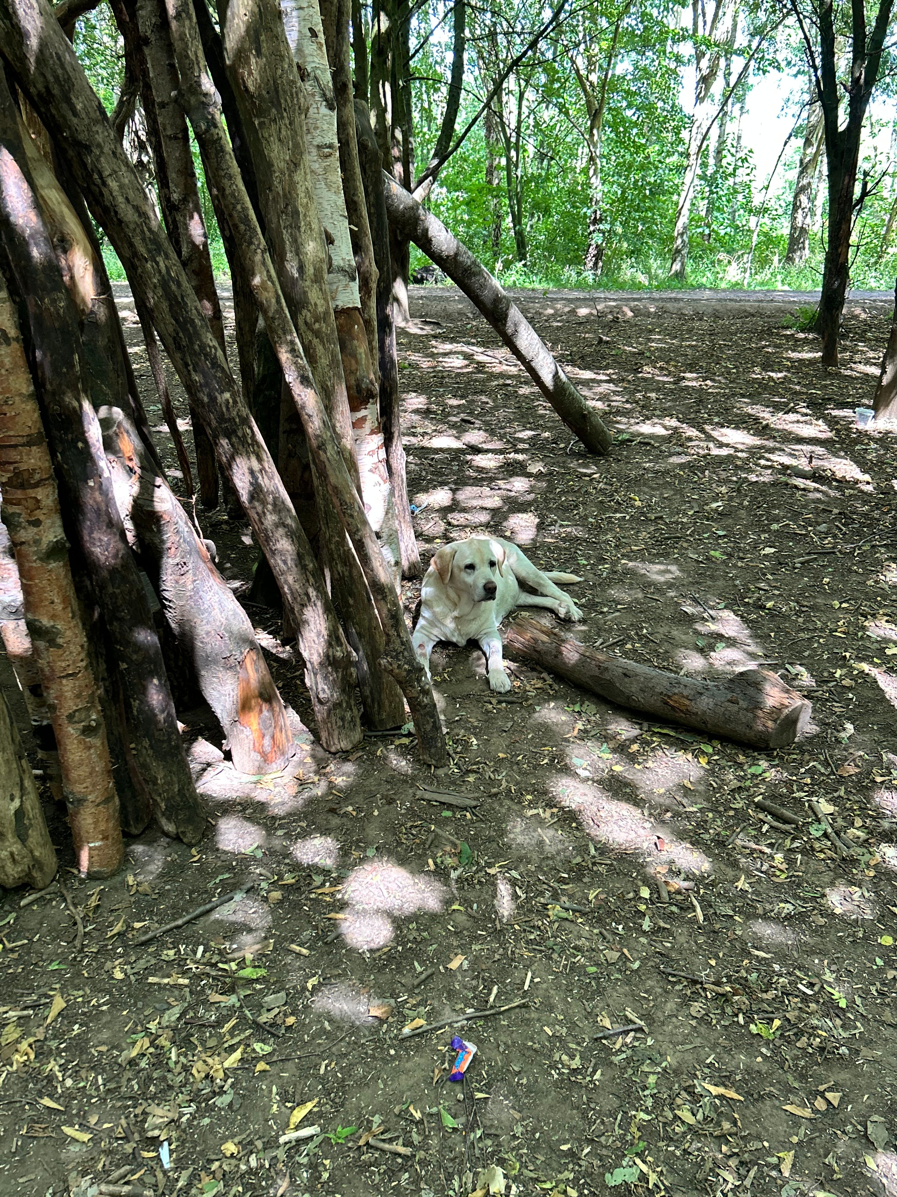 image-6