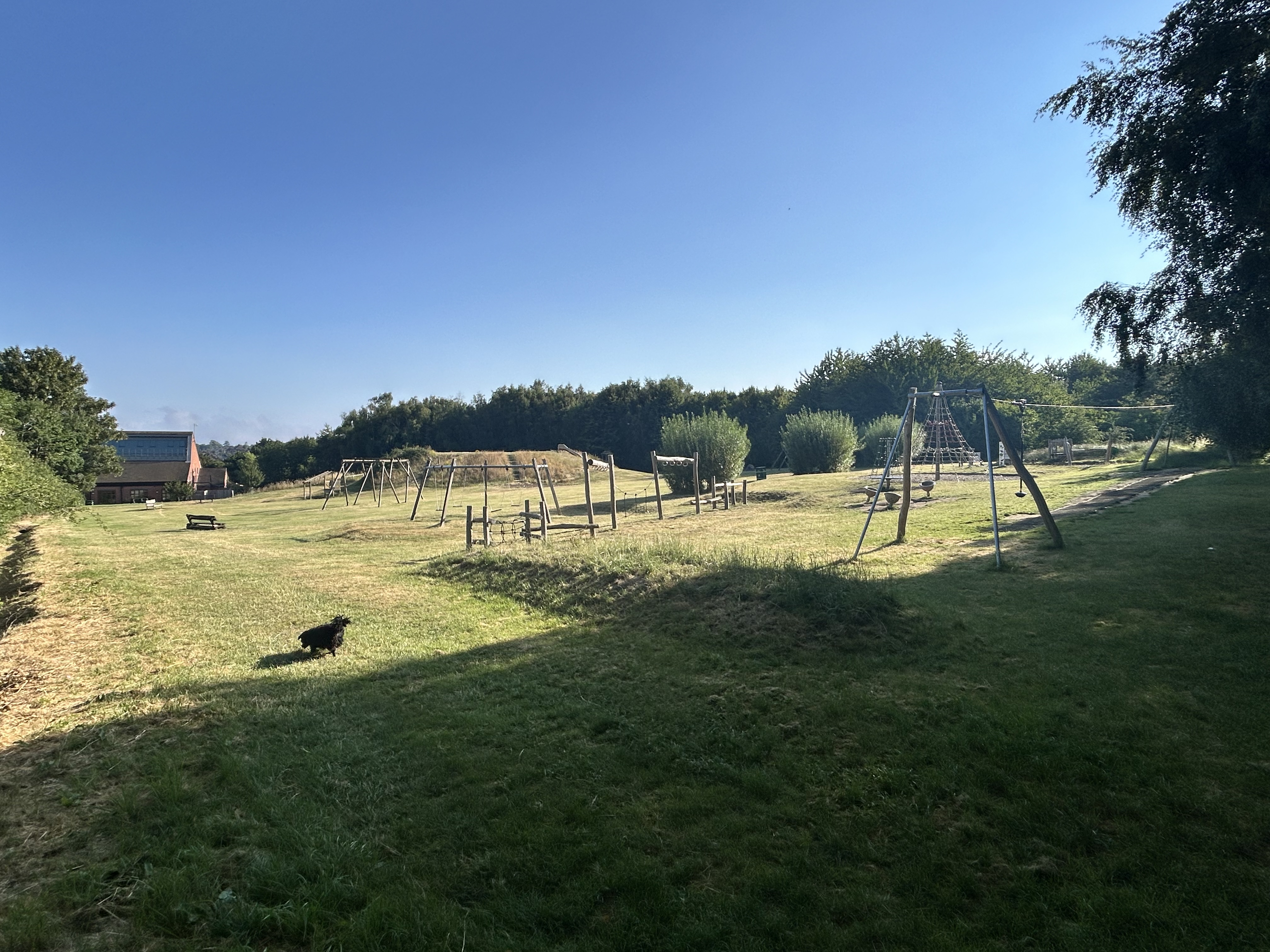 image-13