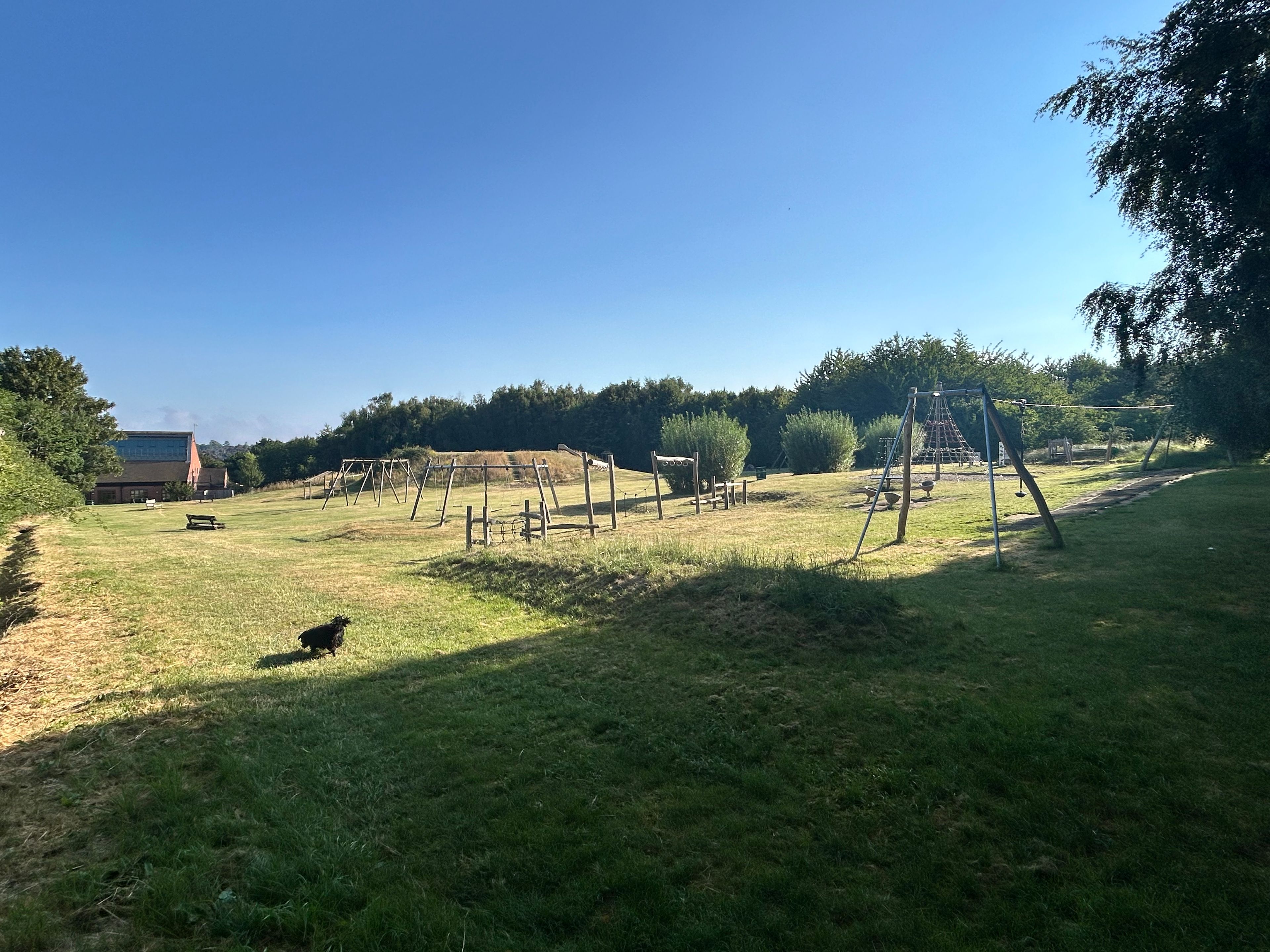 image-13
