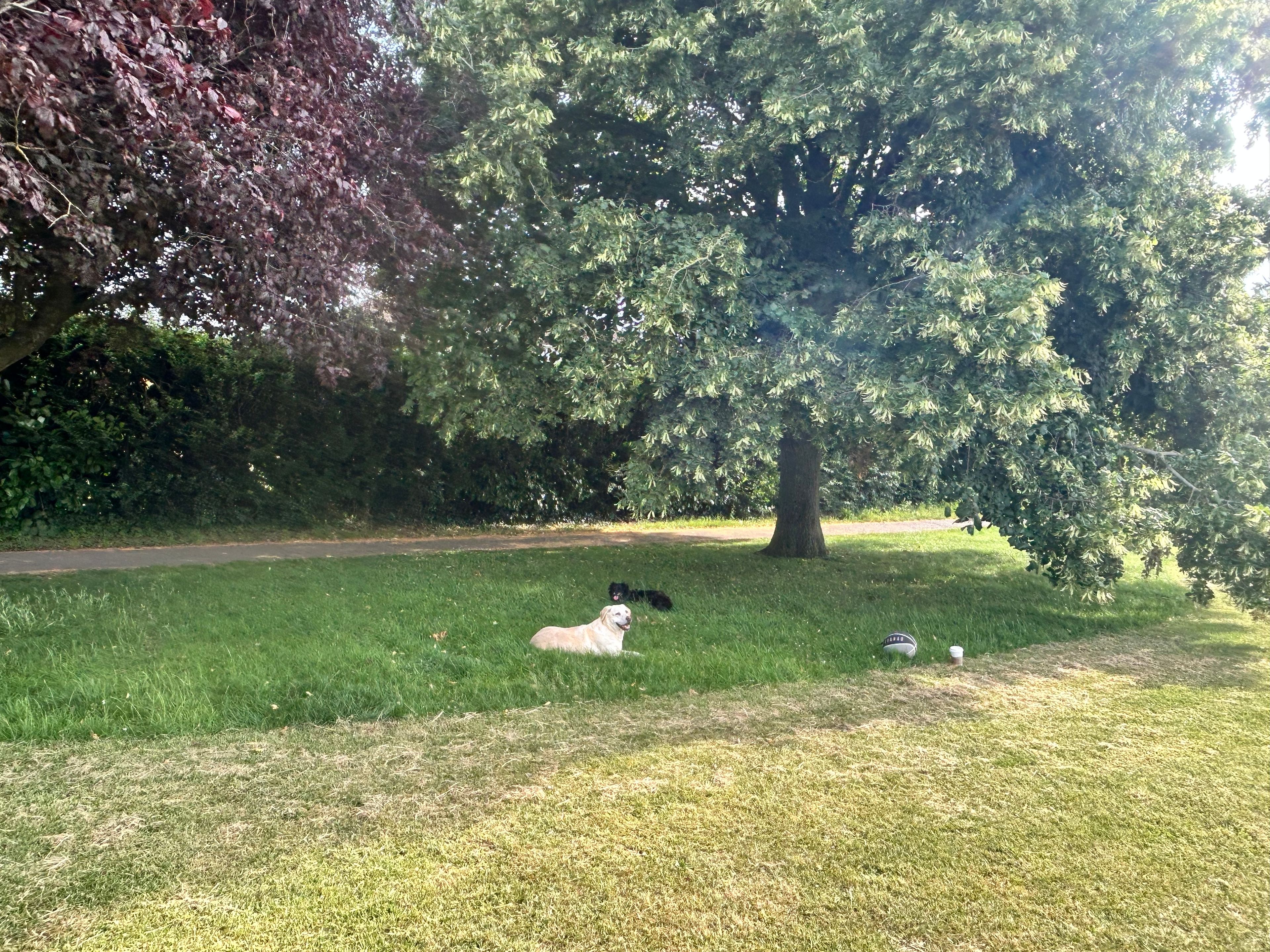 image-8