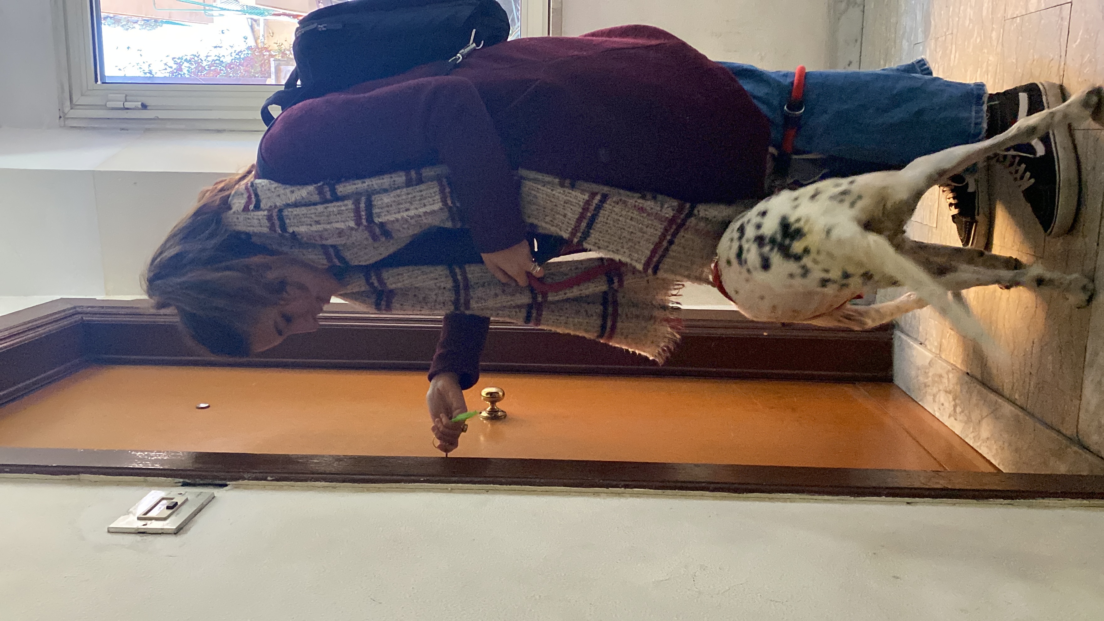 image-6