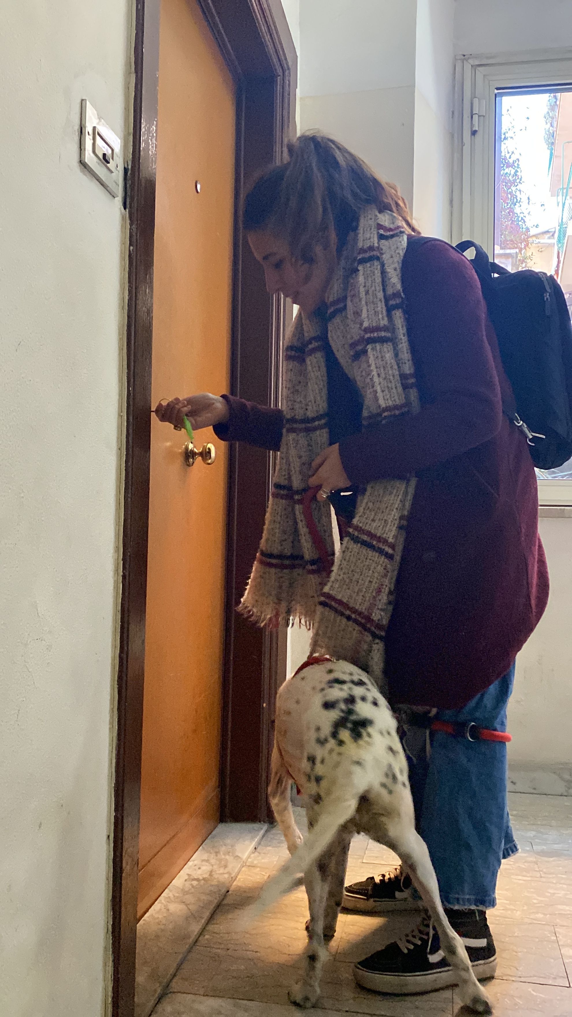 image-6