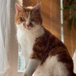 Billy