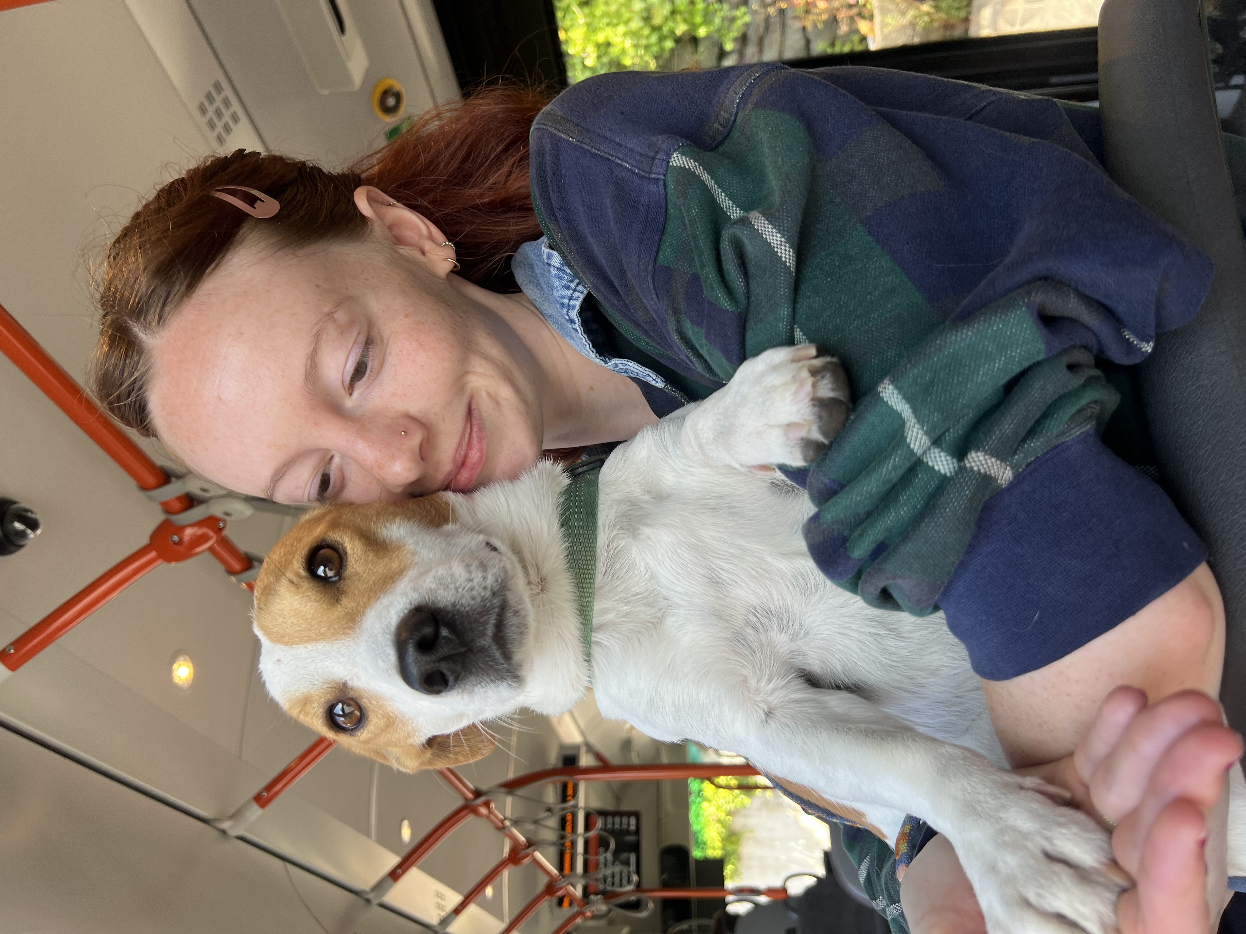 image-0